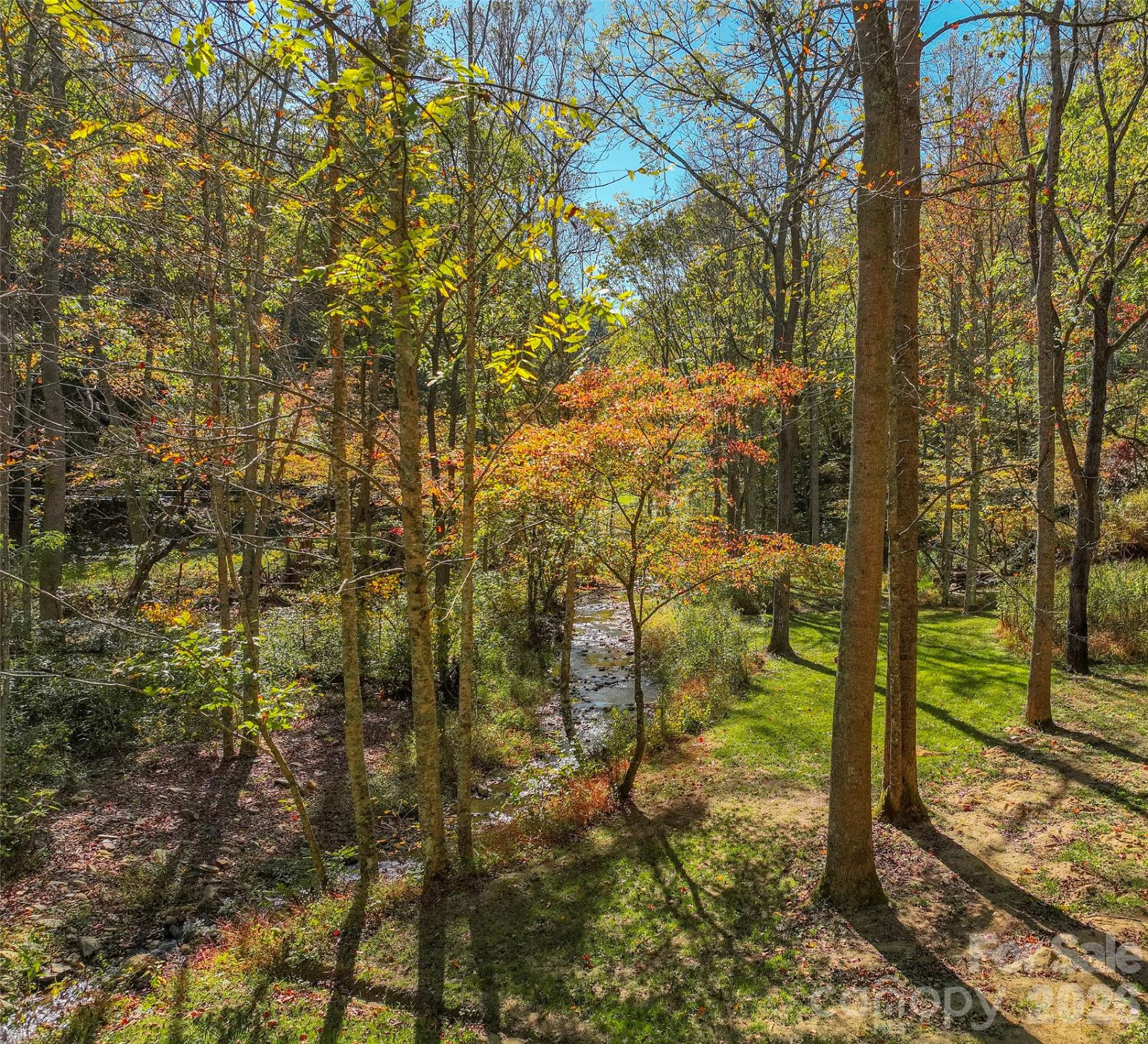 3301 State Highway 197 None - Photo 11