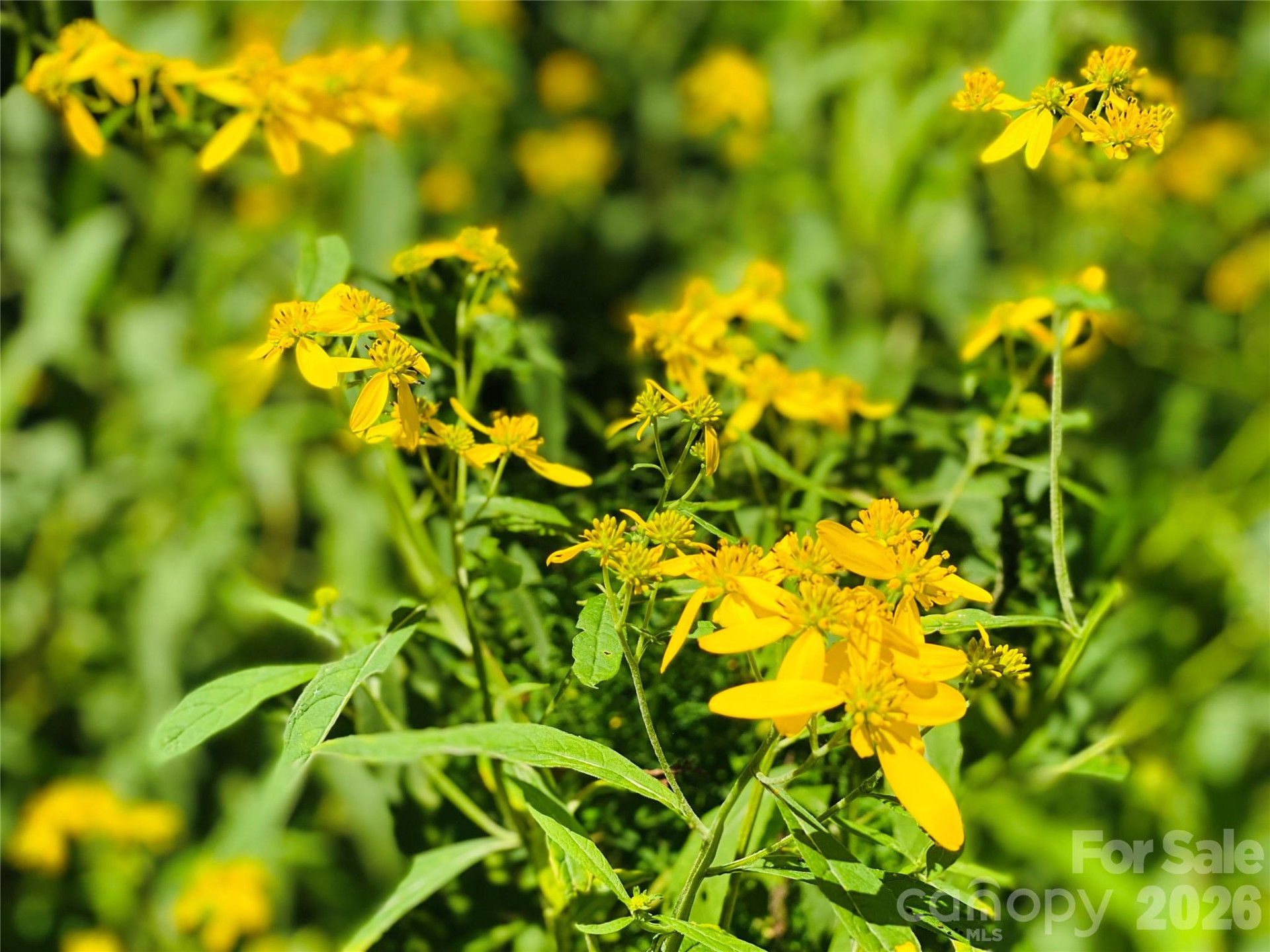 3301 State Highway 197 None - Photo 7