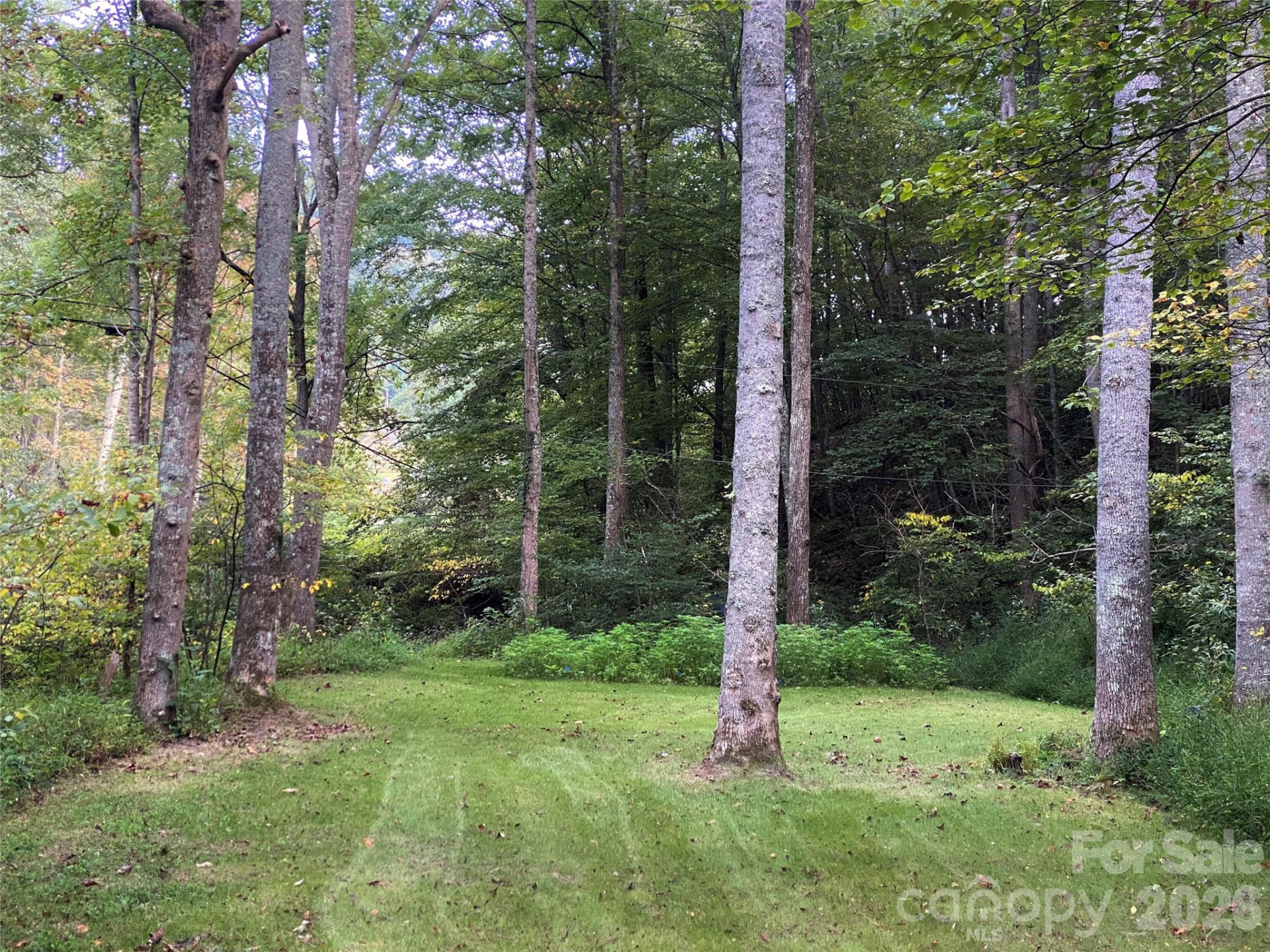 3301 State Highway 197 None - Photo 8