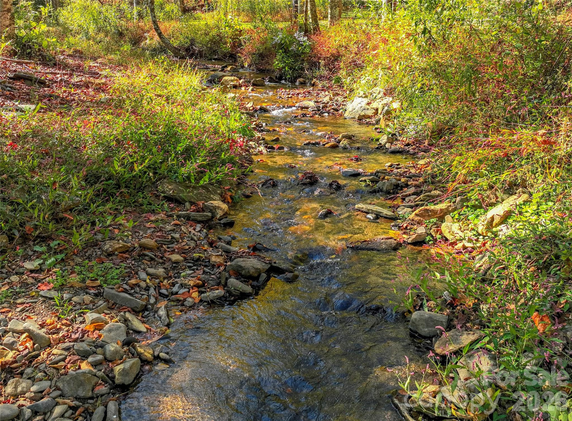 3301 State Highway 197 None - Photo 9