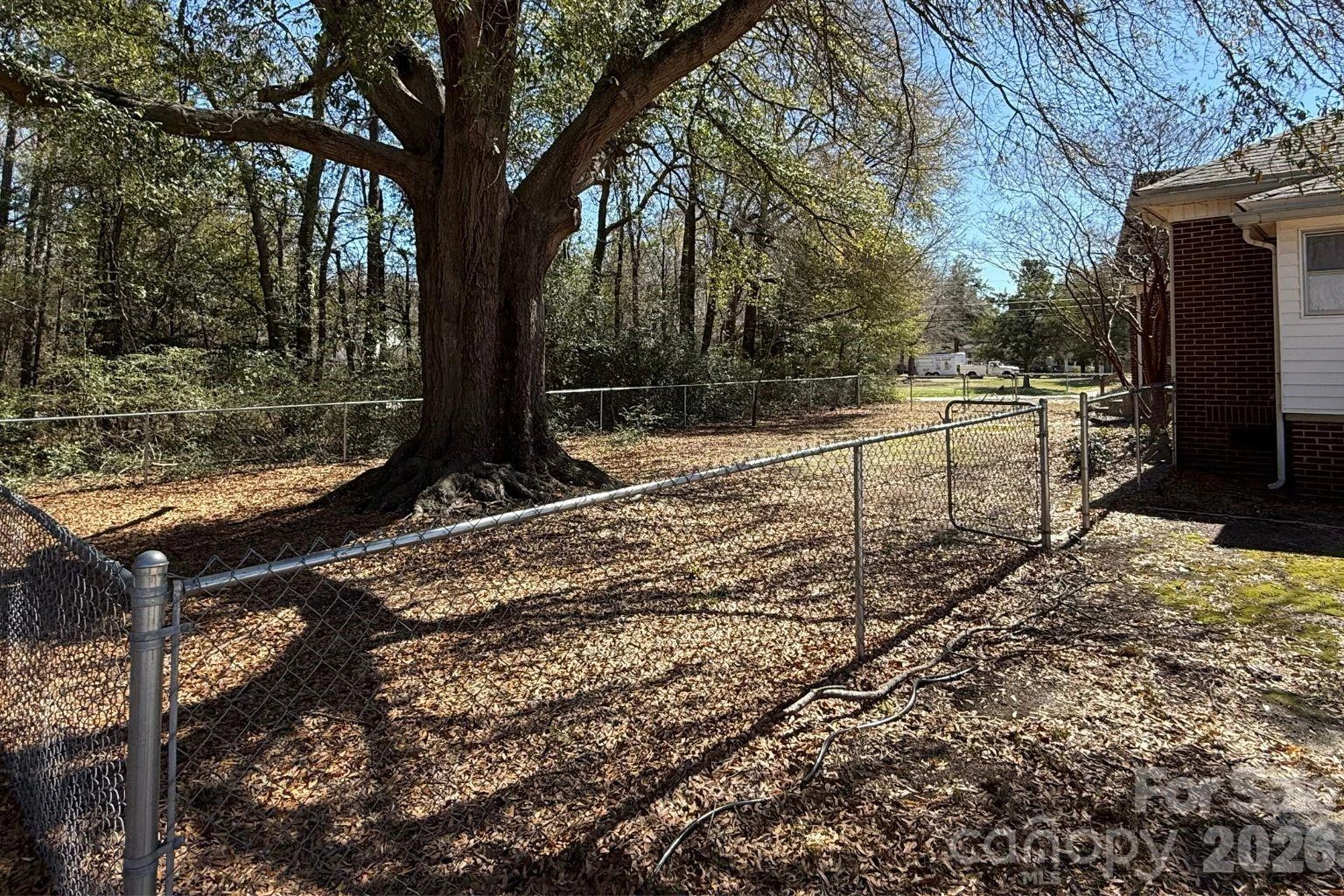 509 Hilton Street - Photo 22