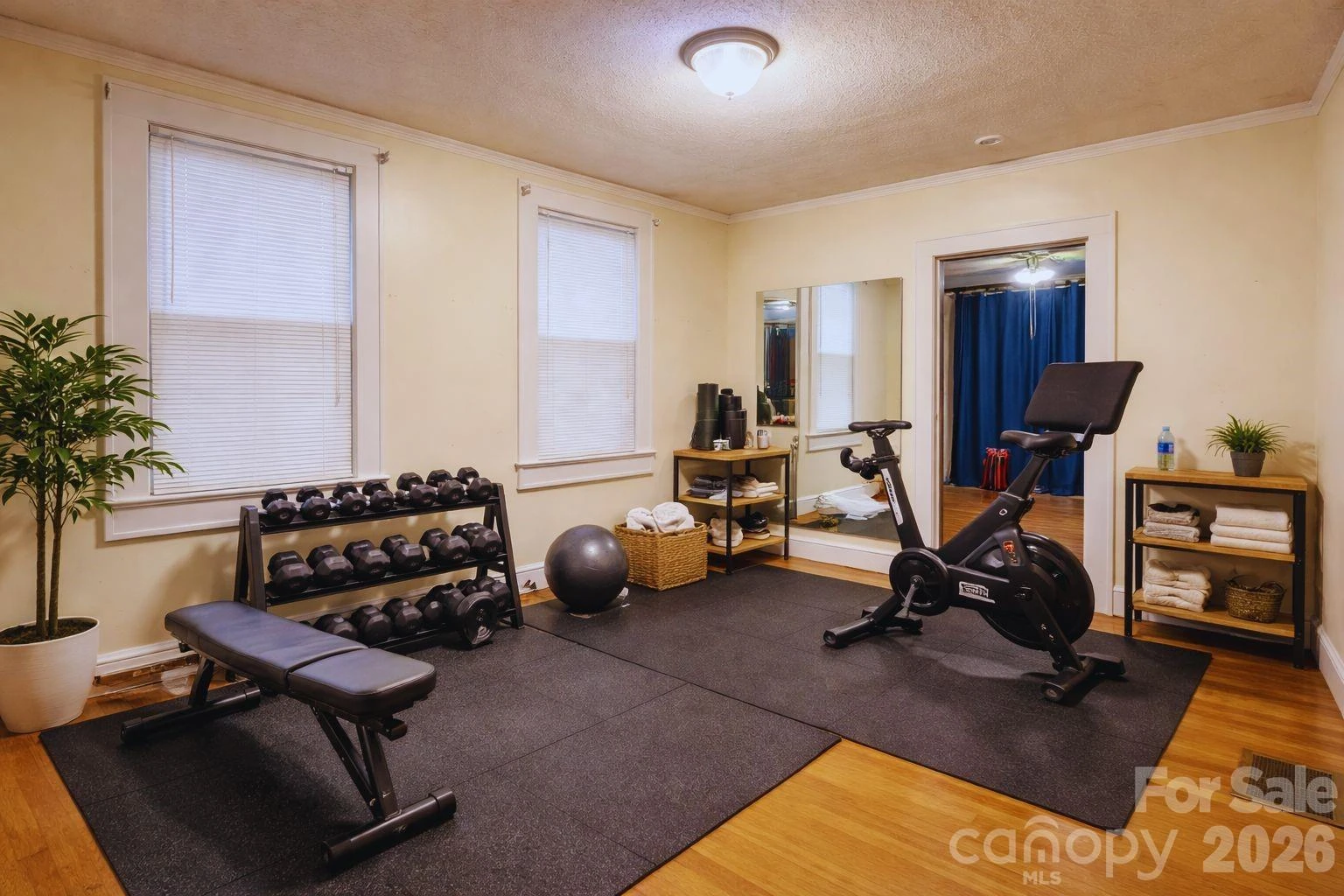 509 Hilton Street - Photo 6