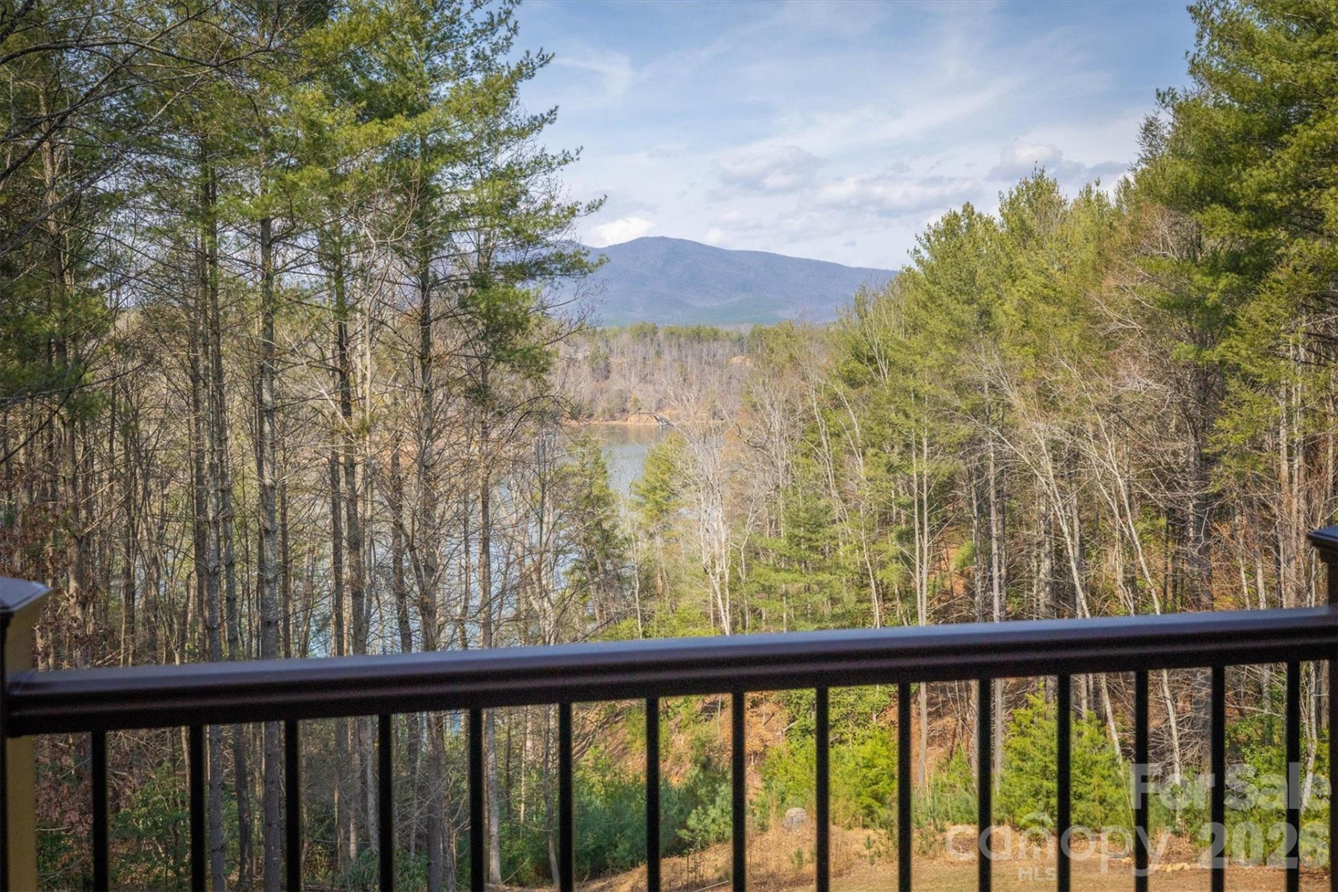 1195 Old Wildlife Club Drive #89 - Photo 18