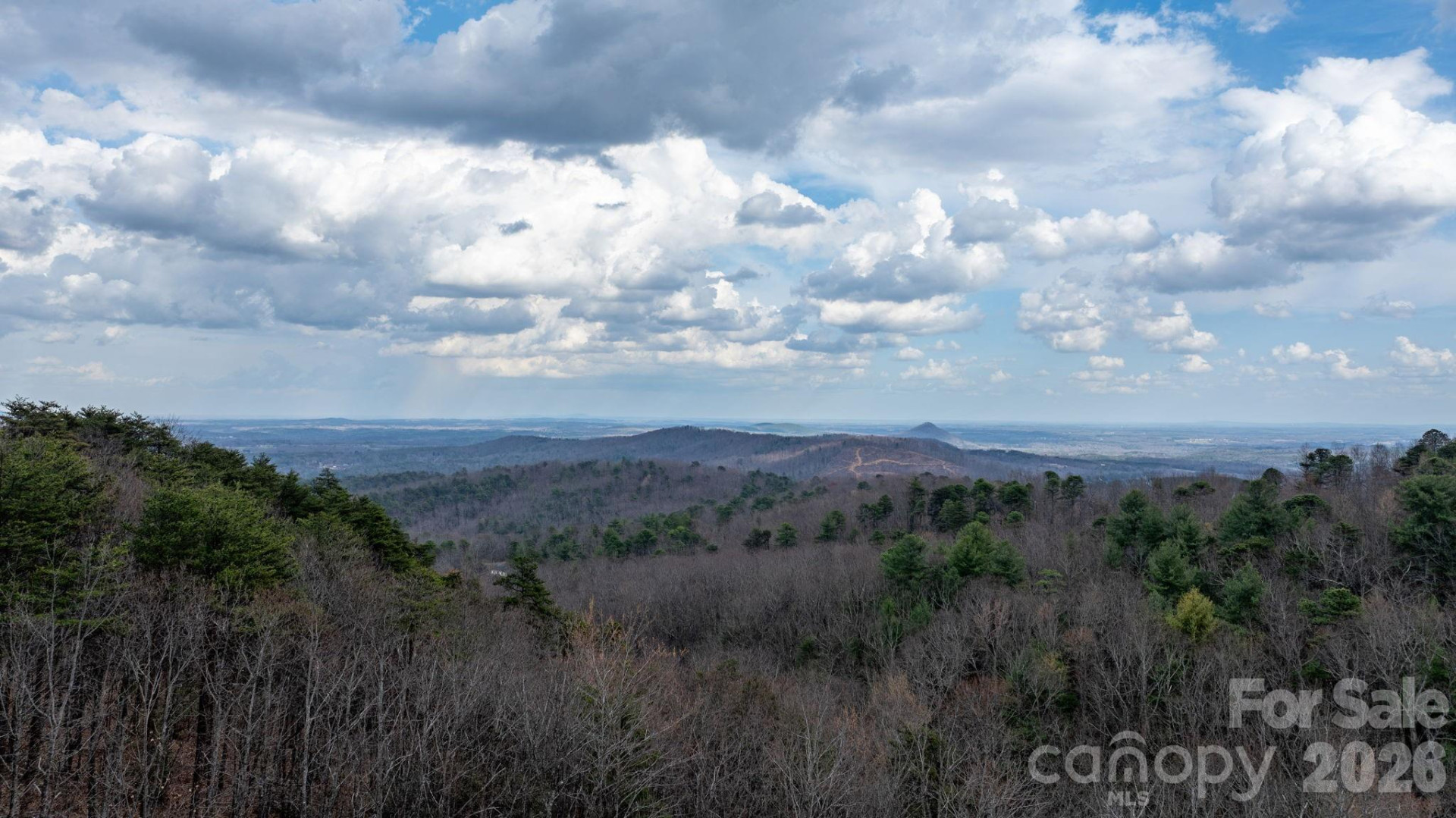 2184 Pine Mountain Drive - Photo 46