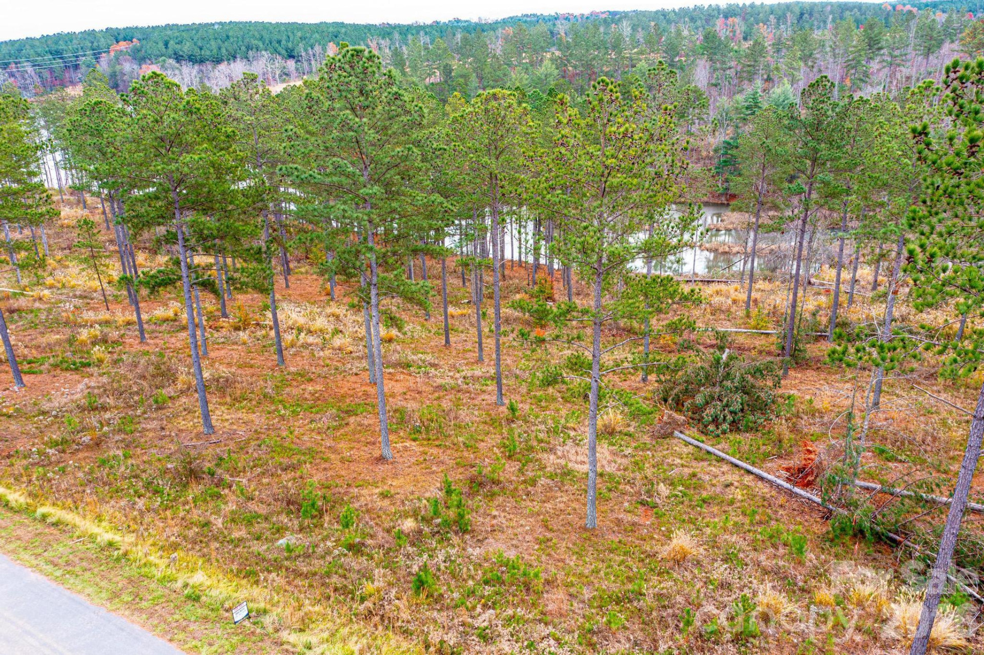 2188 Snowmass Drive - Photo 3