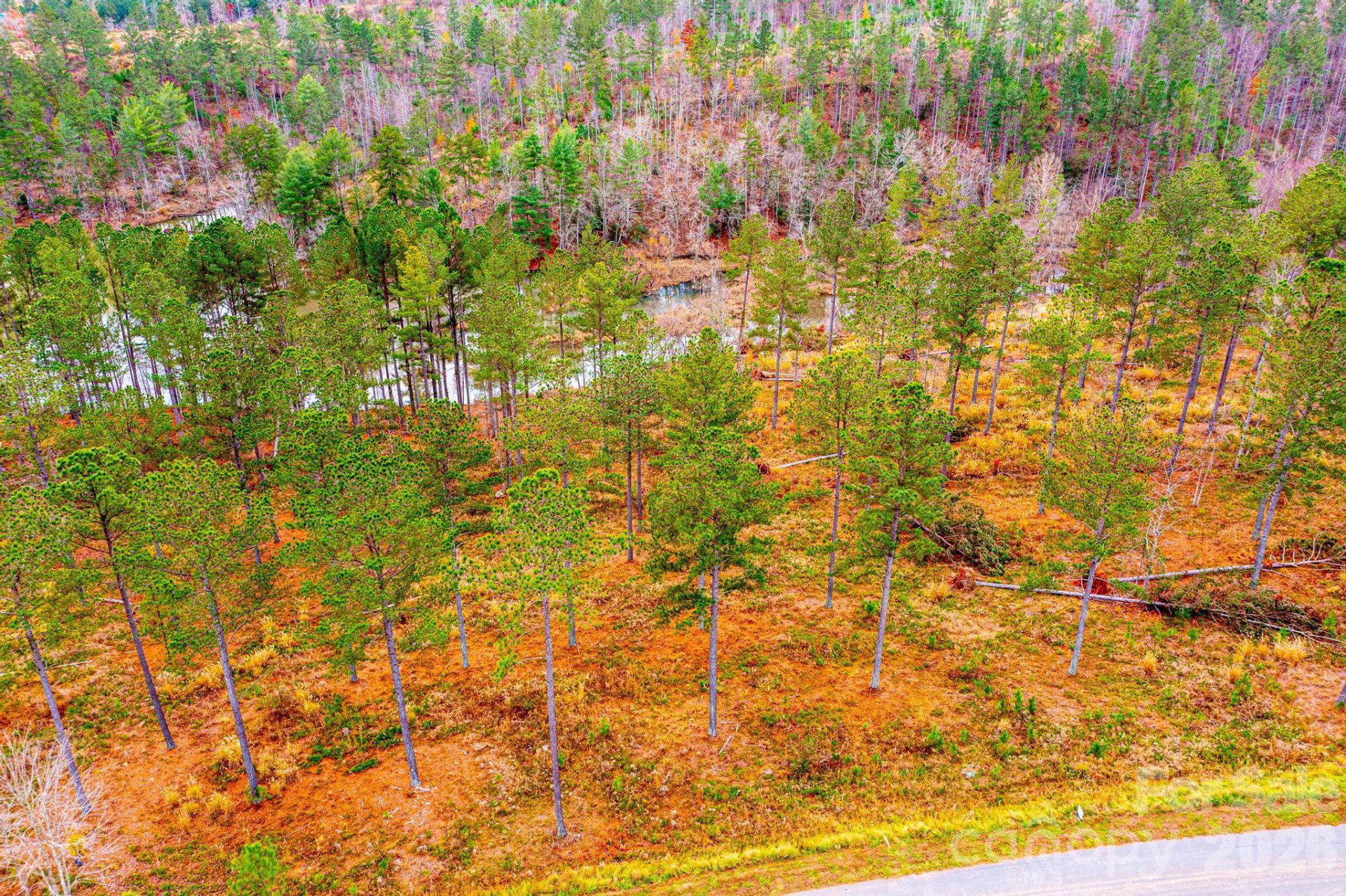 2188 Snowmass Drive - Photo 4