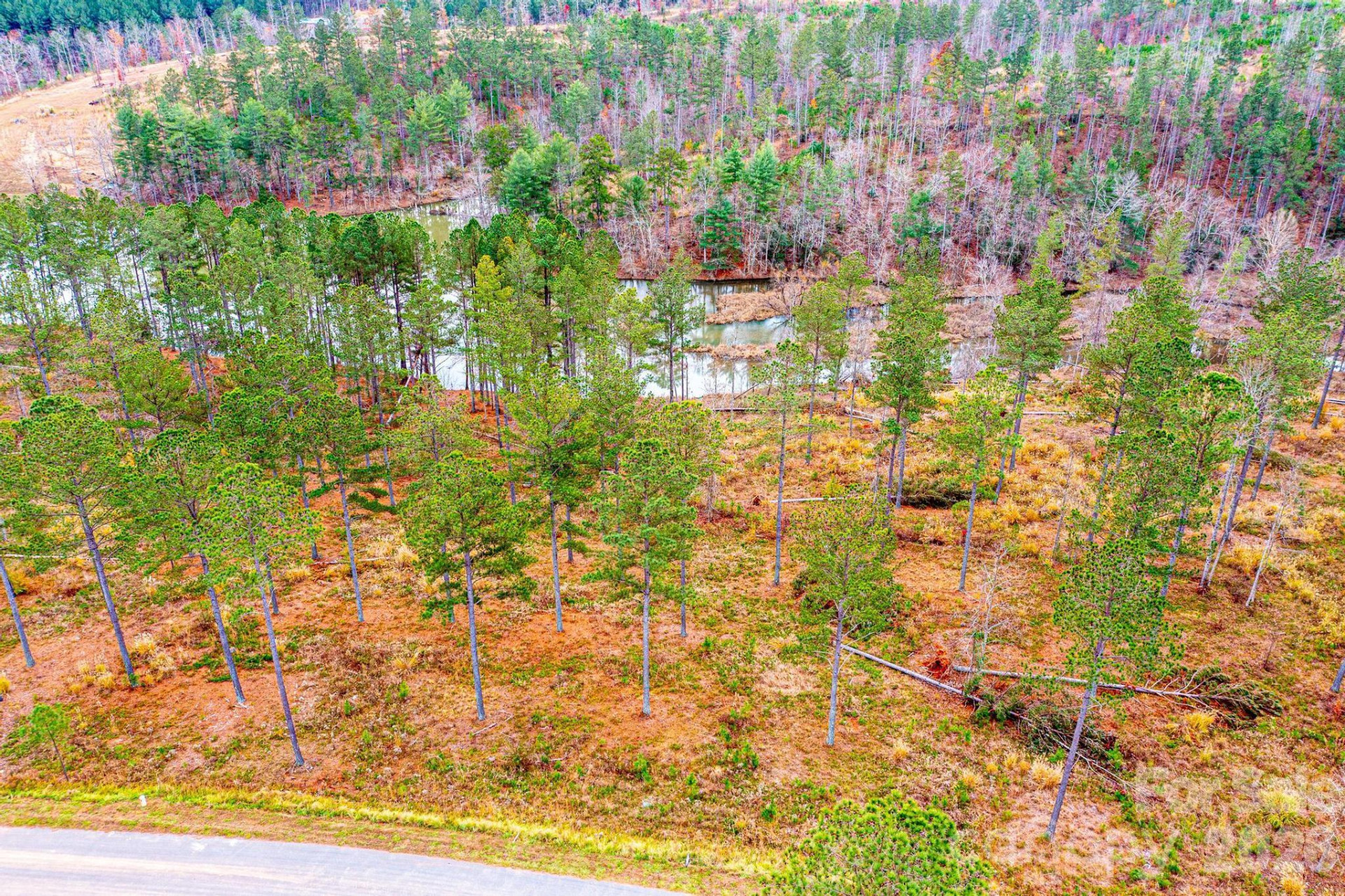 2188 Snowmass Drive - Photo 5