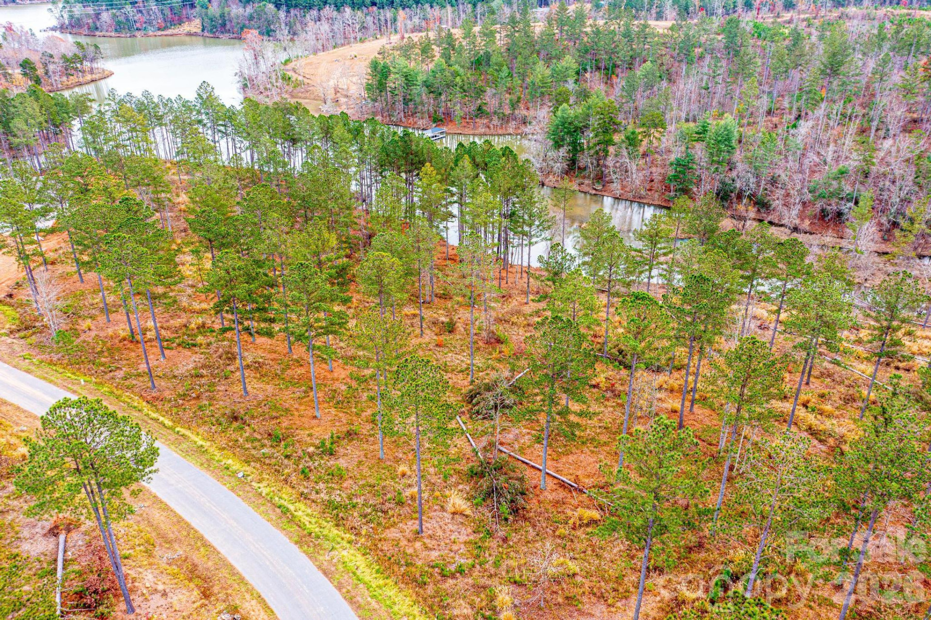 2188 Snowmass Drive - Photo 6