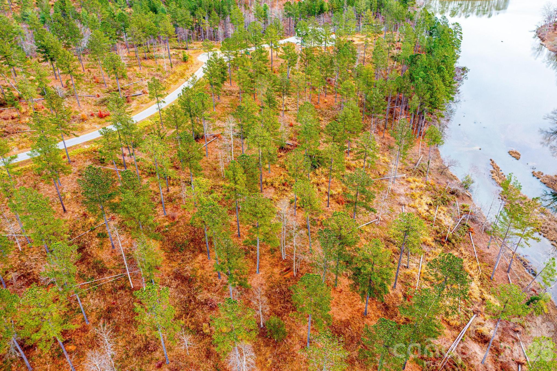 2188 Snowmass Drive - Photo 7