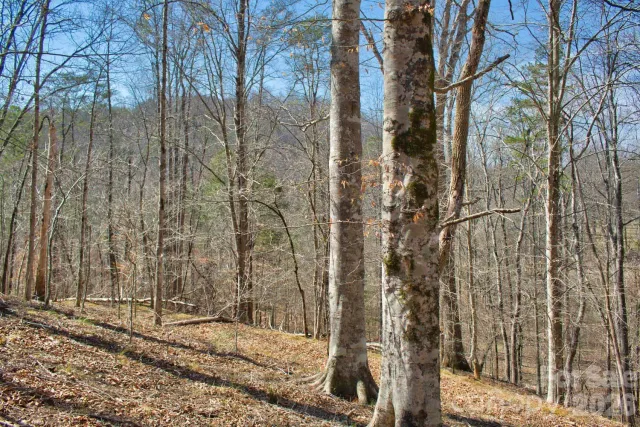 0 Cross Creek Drive, Rutherfordton, NC, 28139
