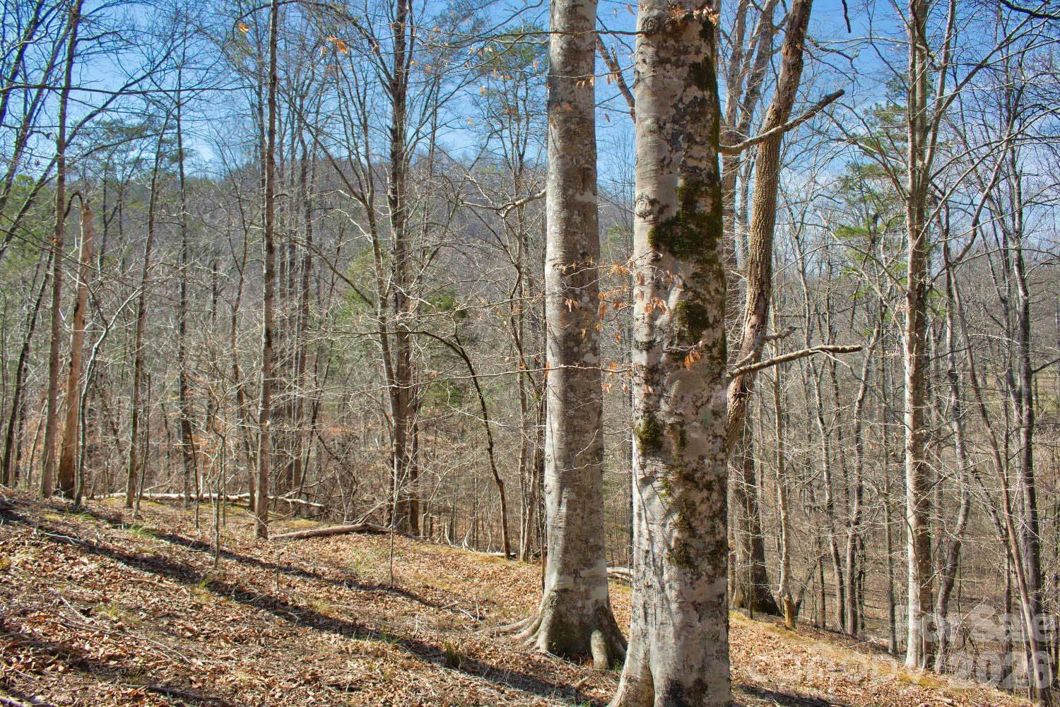 0 Cross Creek Drive #143