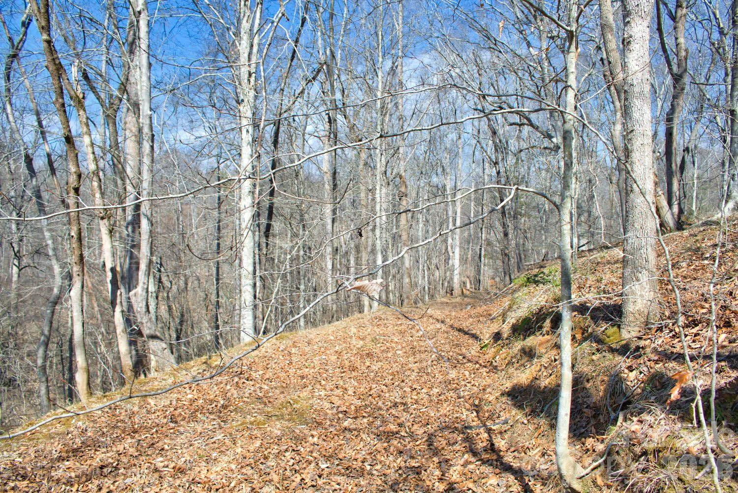 0 Cross Creek Drive #143 - Photo 2