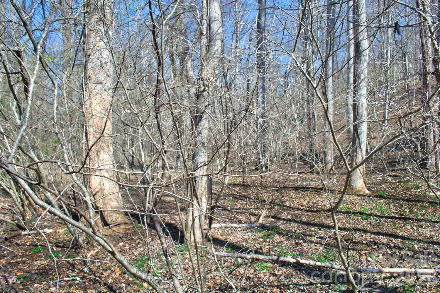 0 Cross Creek Drive #143 - Photo 3