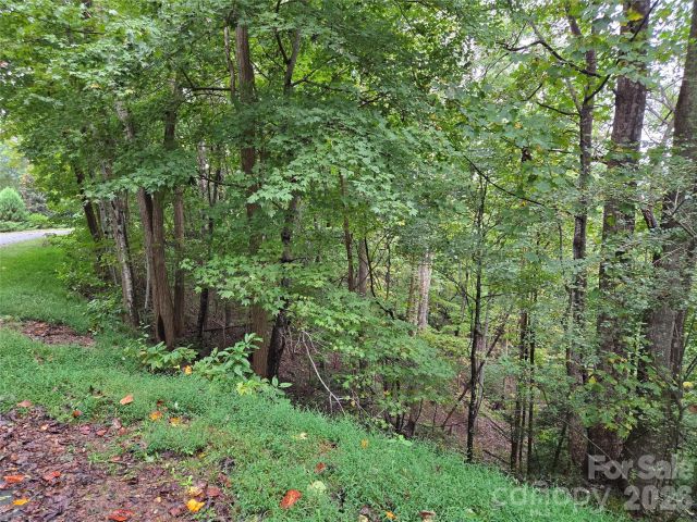 0 Waterside Drive, Lake Lure, NC, 28746