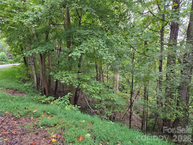 0 Waterside Drive, Lake Lure, NC, 28746