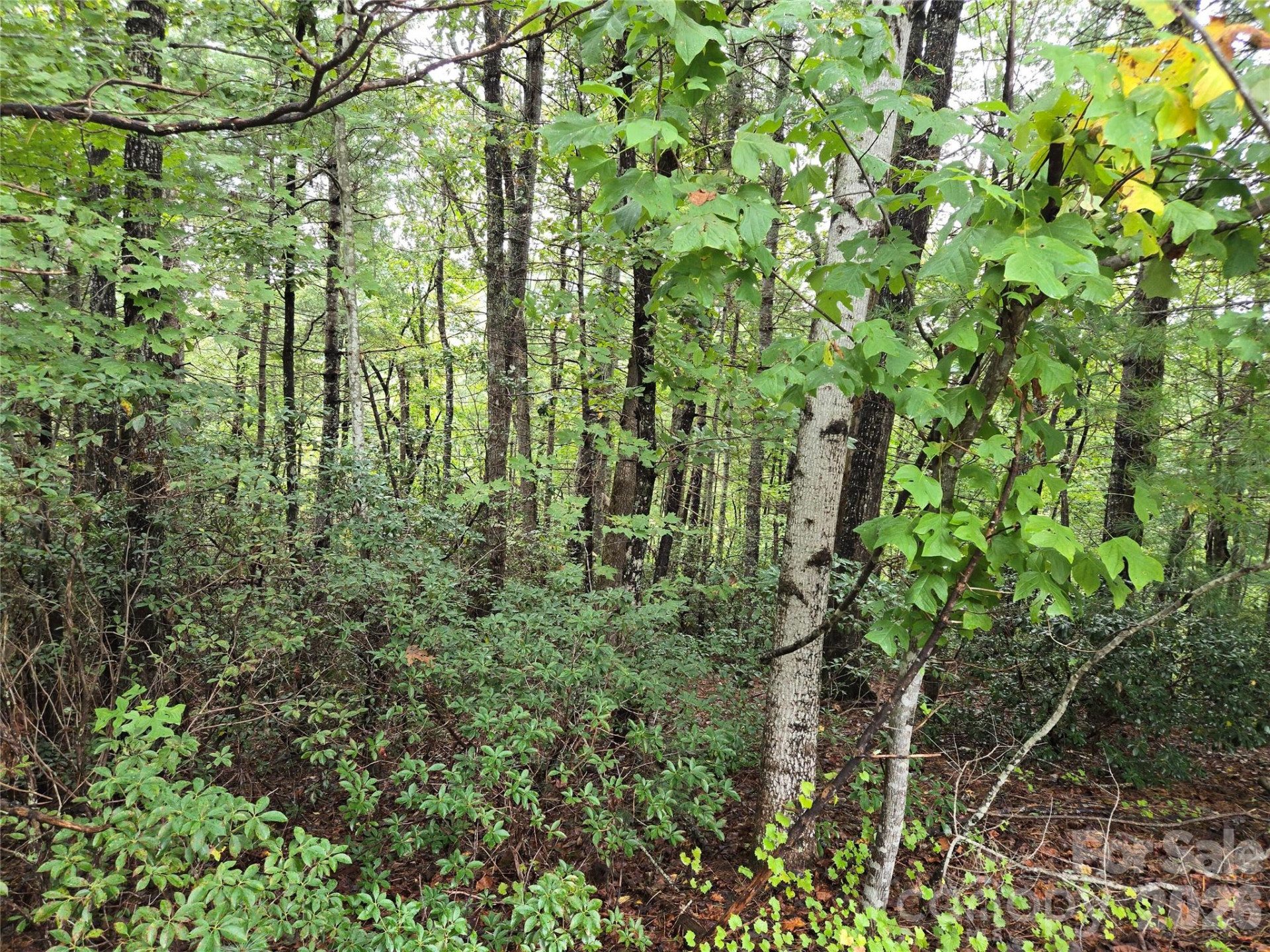 0 Waterside Drive - Photo 11