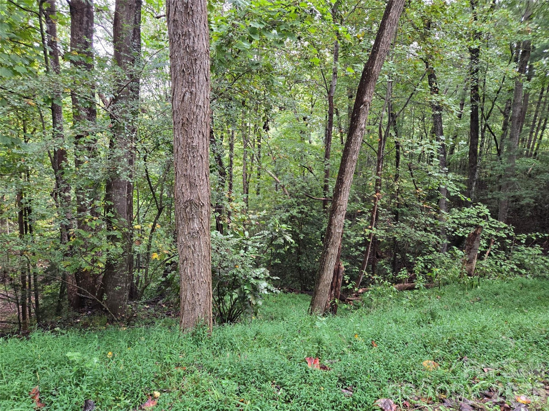 0 Waterside Drive - Photo 13