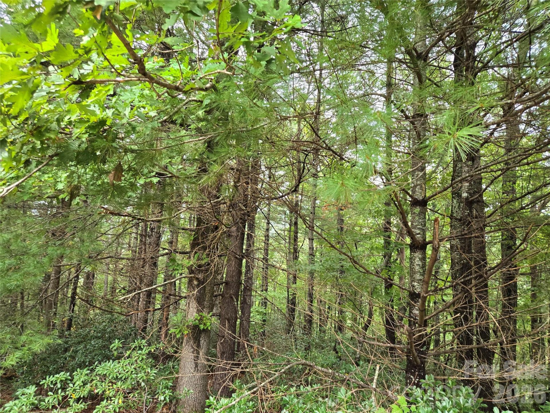 0 Waterside Drive - Photo 17