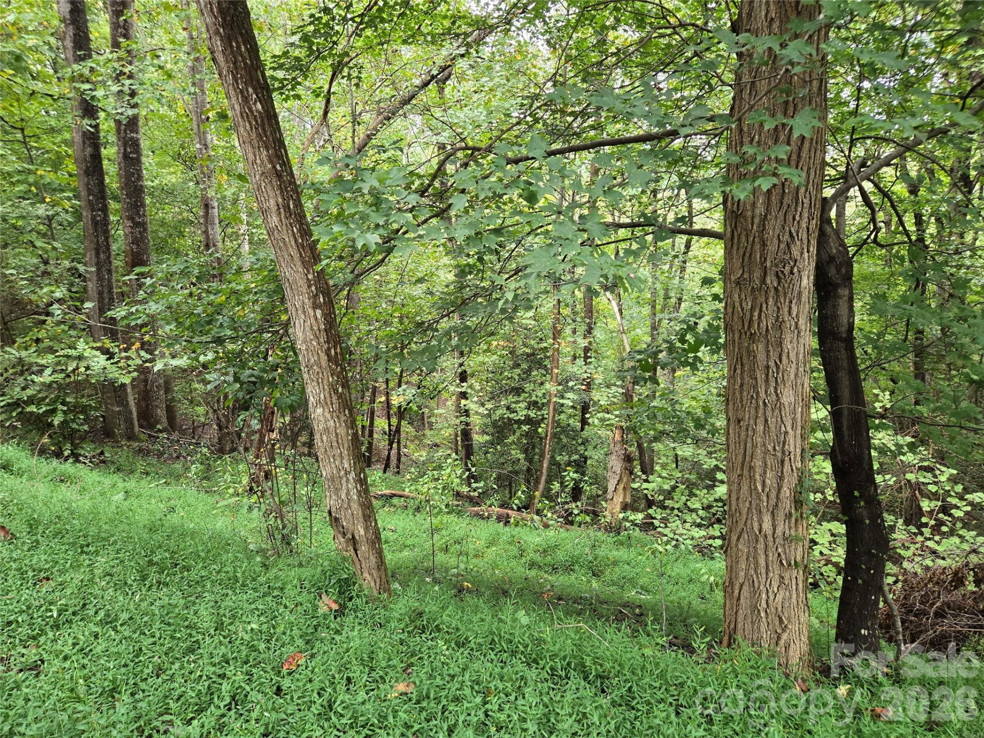 0 Waterside Drive - Photo 19