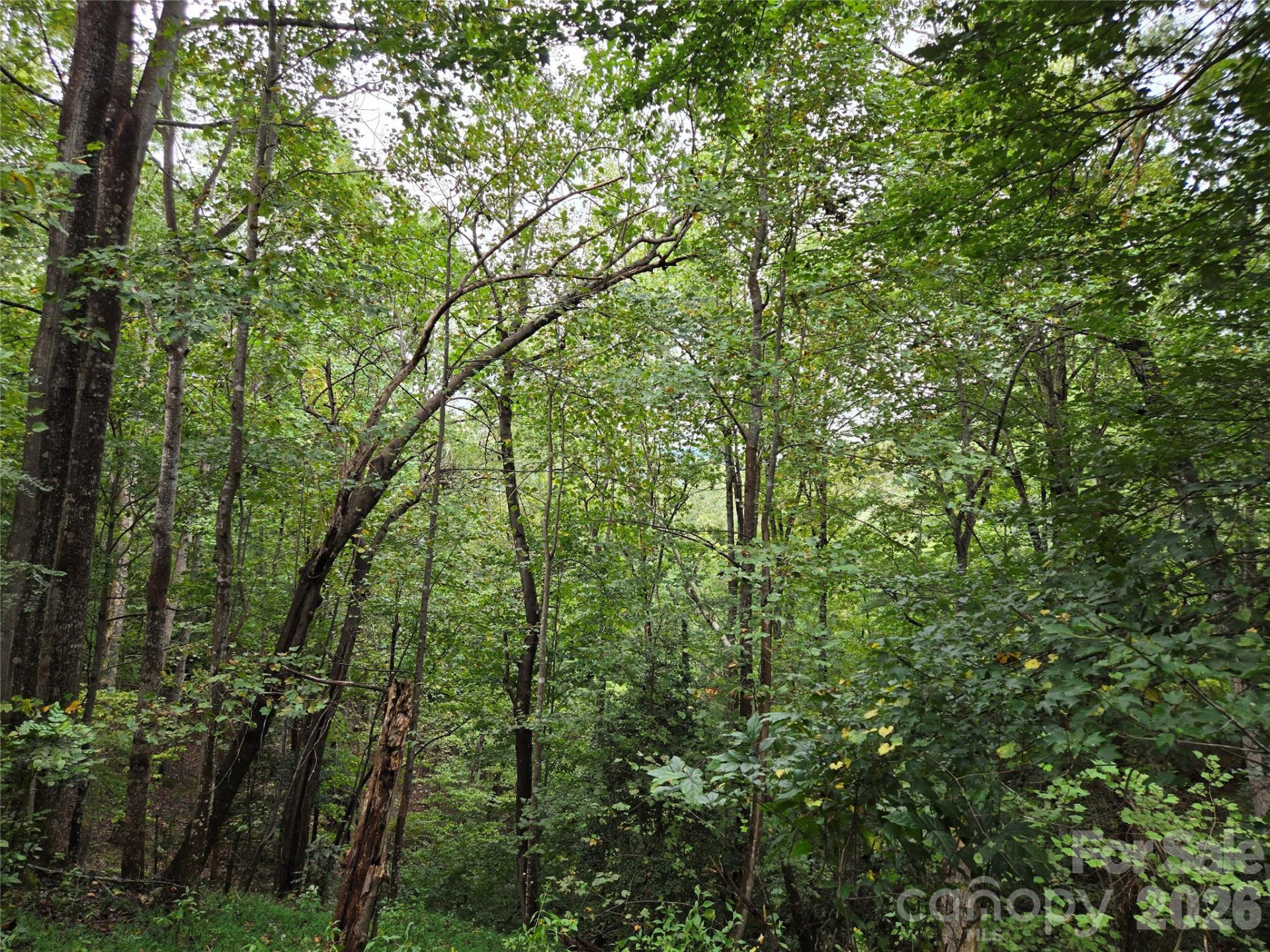 0 Waterside Drive - Photo 20