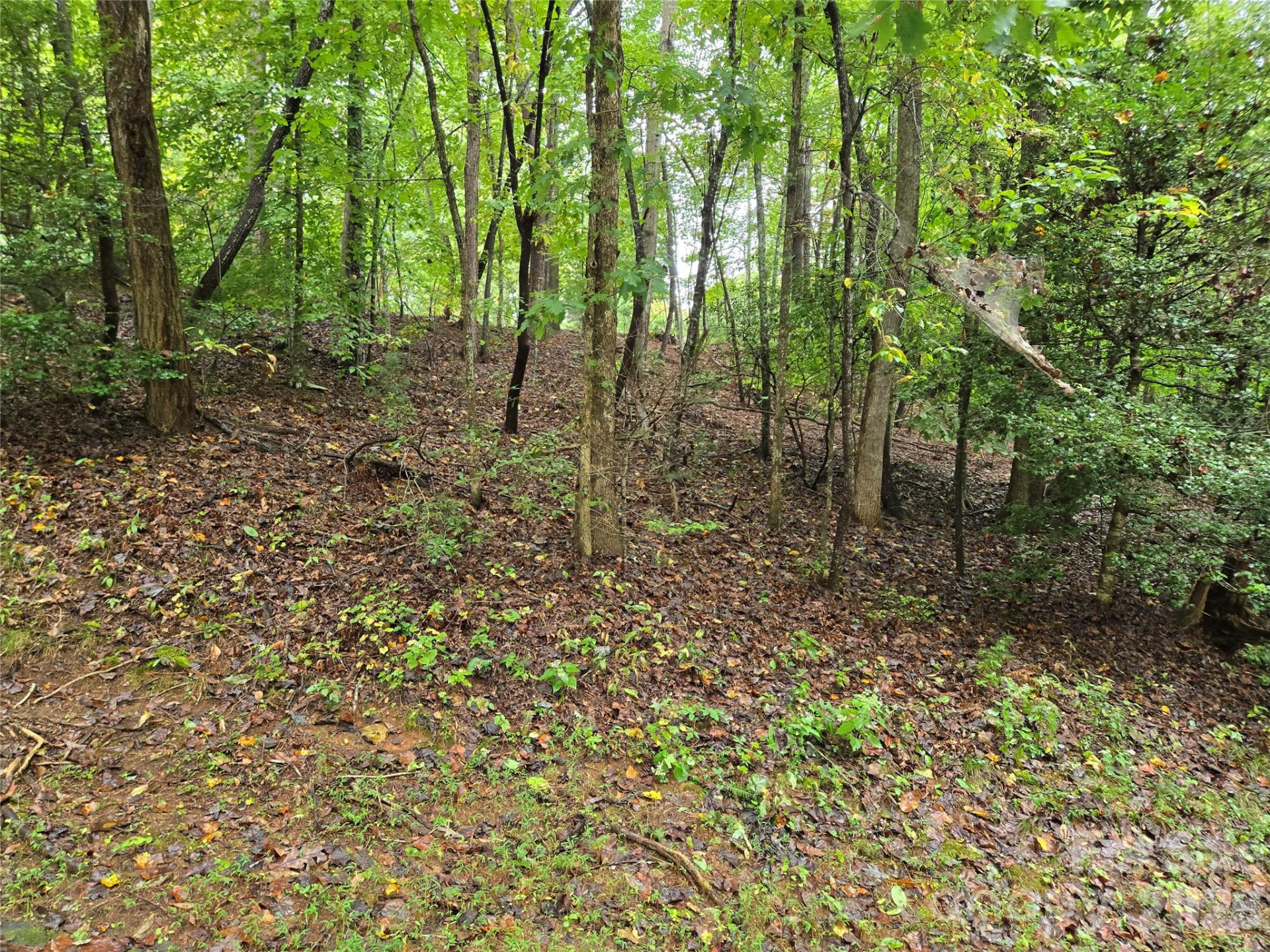 0 Waterside Drive - Photo 3