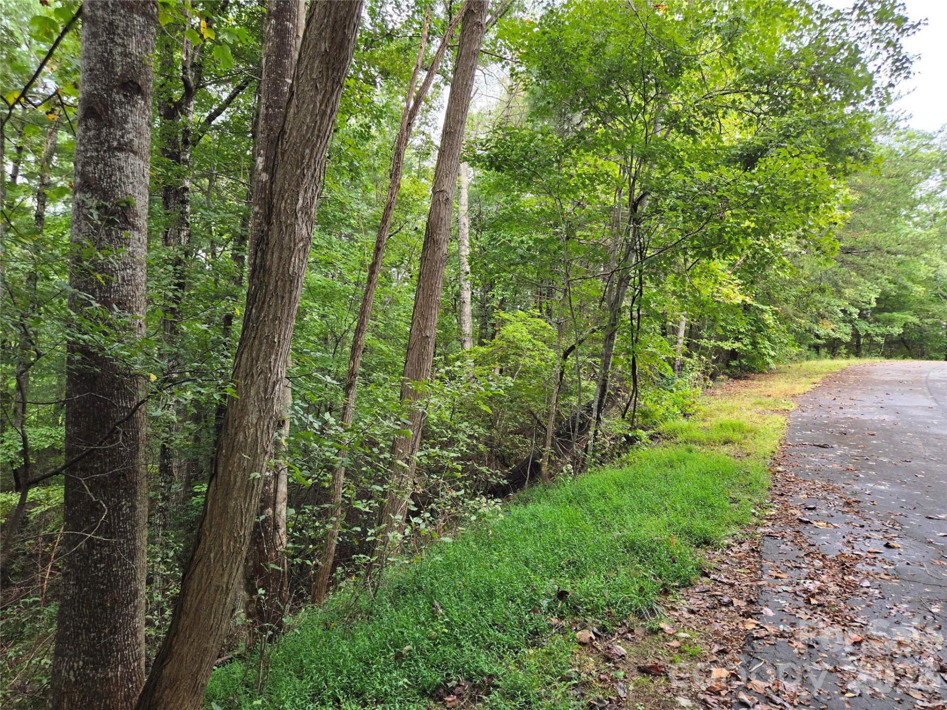 0 Waterside Drive - Photo 9