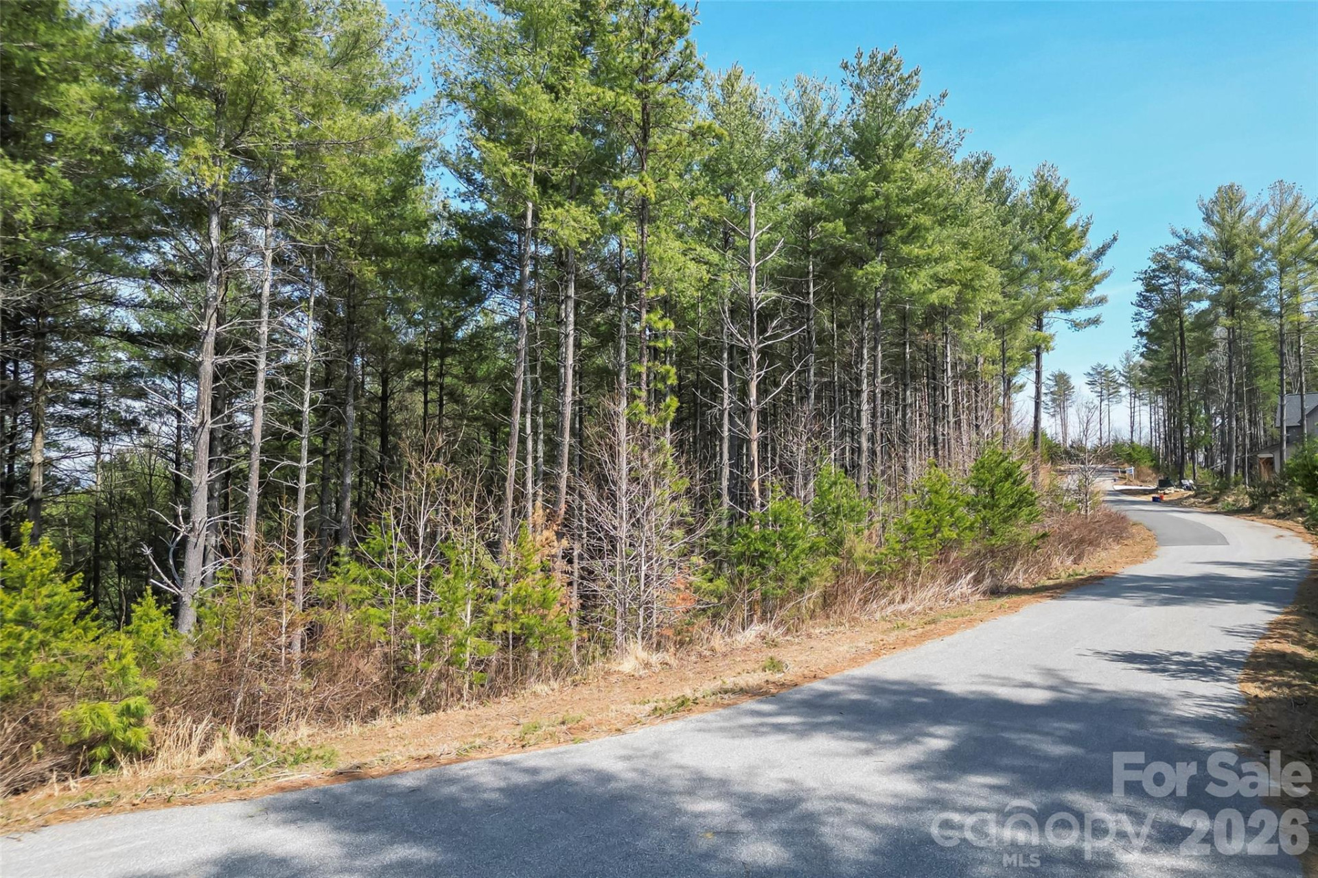 154 West Point Drive - Photo 16