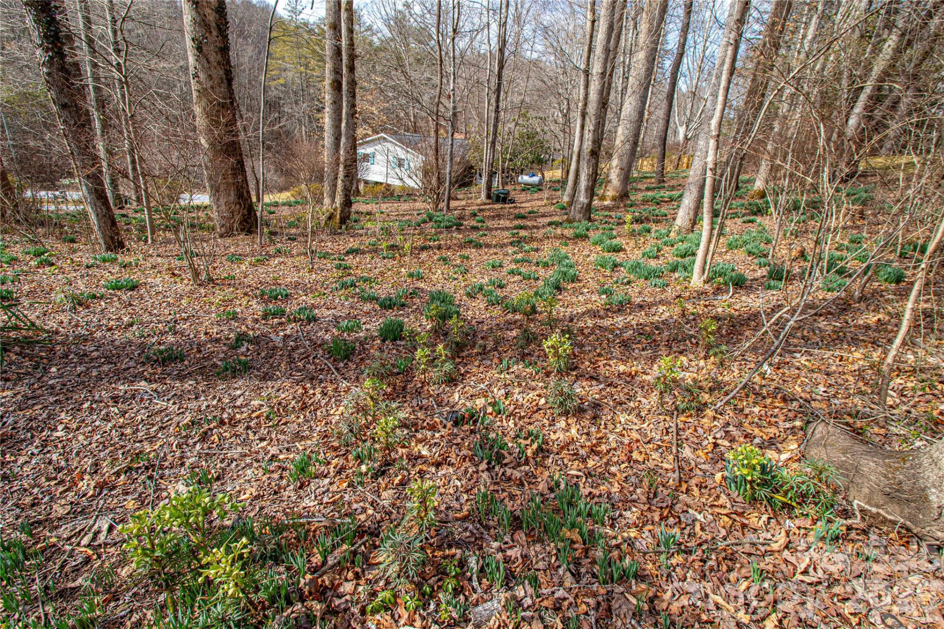 356 Pleasant Hill Drive - Photo 37