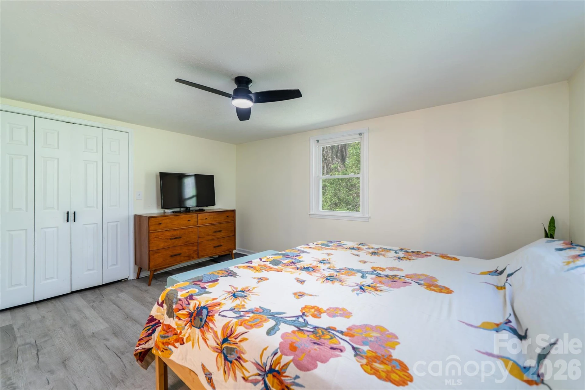 913 Dorothy Street - Photo 18