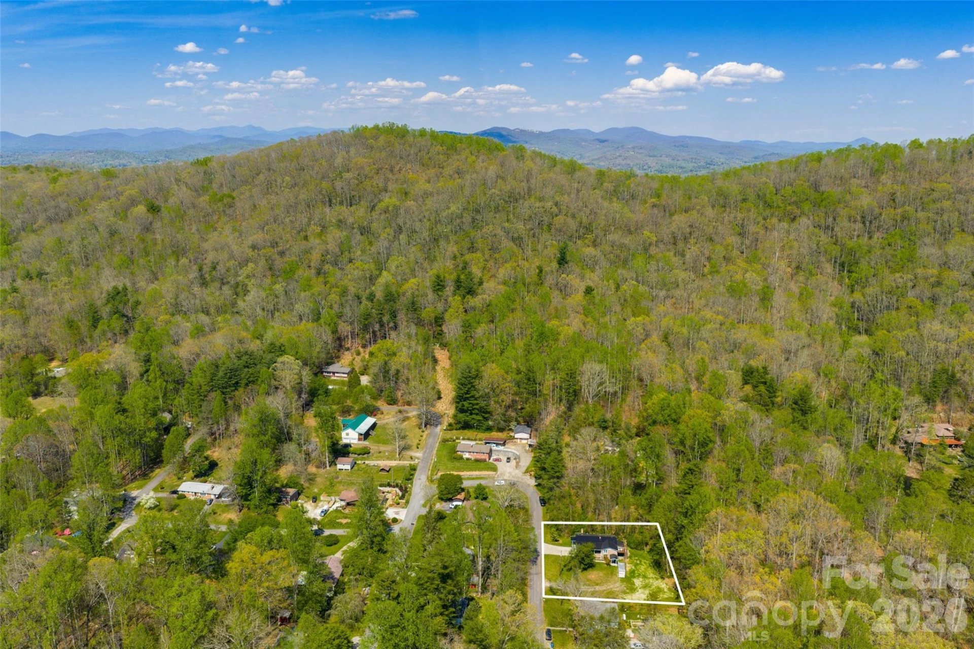 913 Dorothy Street - Photo 39