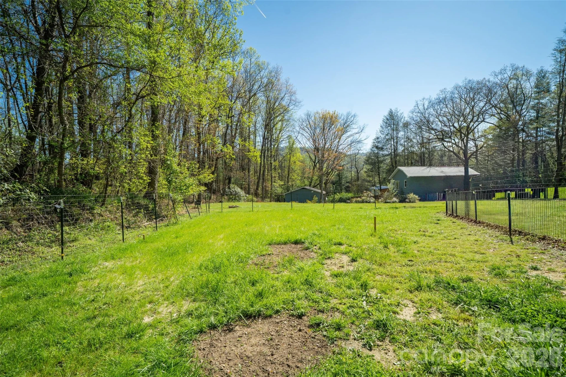 913 Dorothy Street - Photo 9