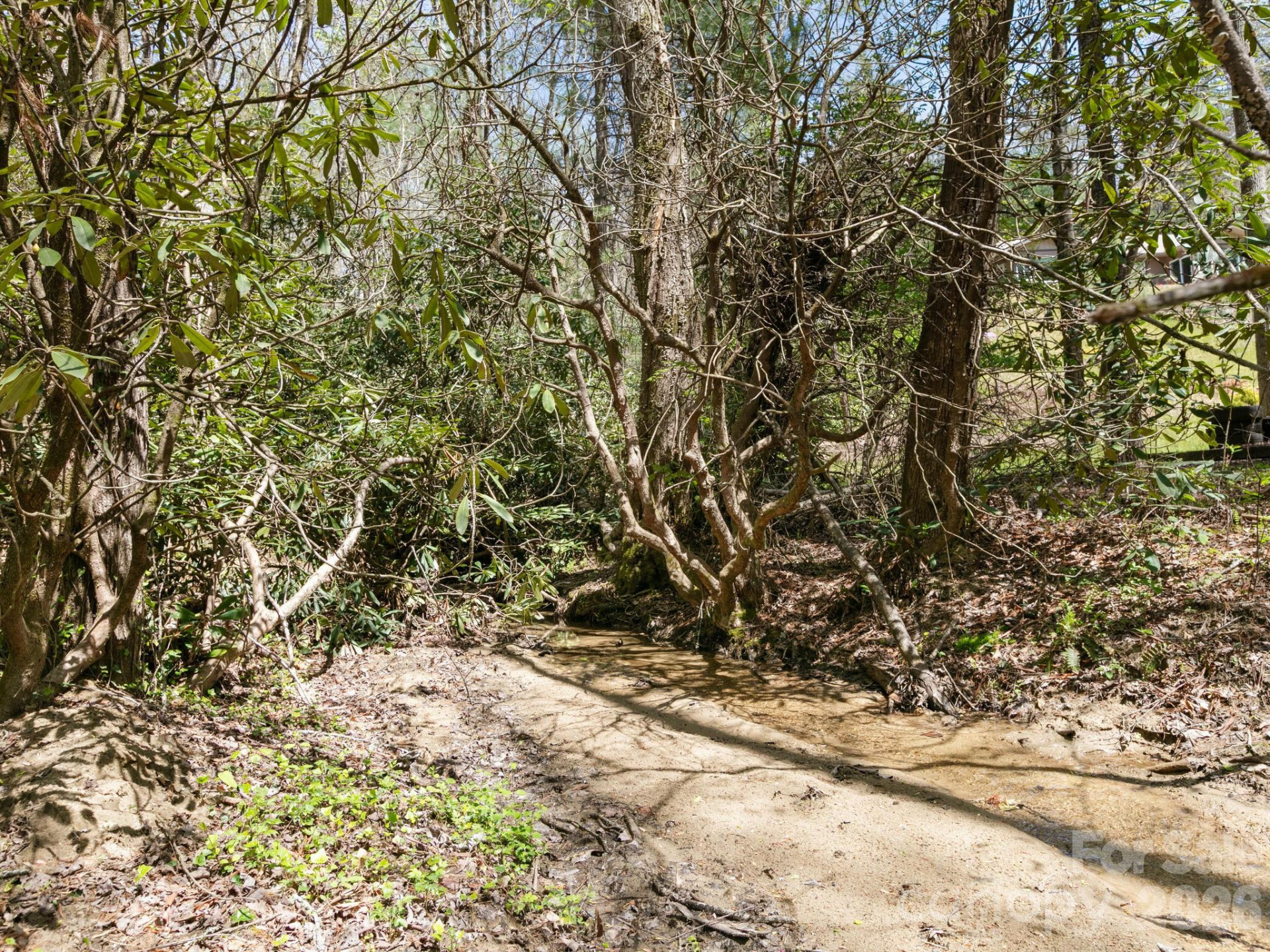 1 Laurel Forest Drive - Photo 35