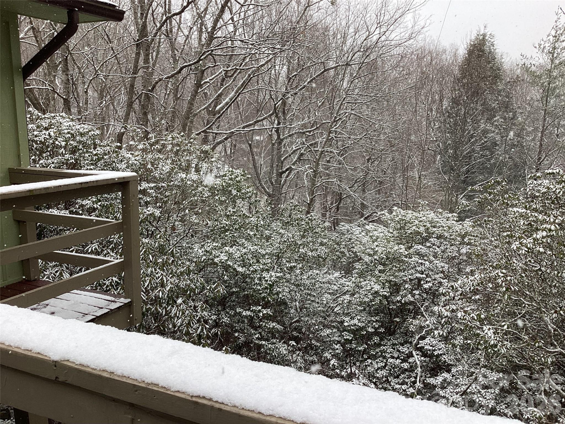 31 Rhododendron Road - Photo 15