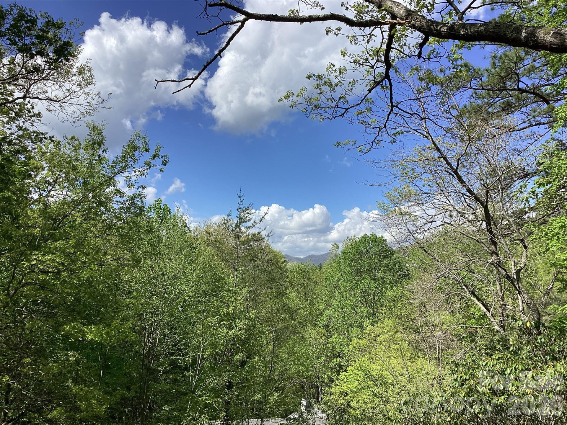 31 Rhododendron Road - Photo 5