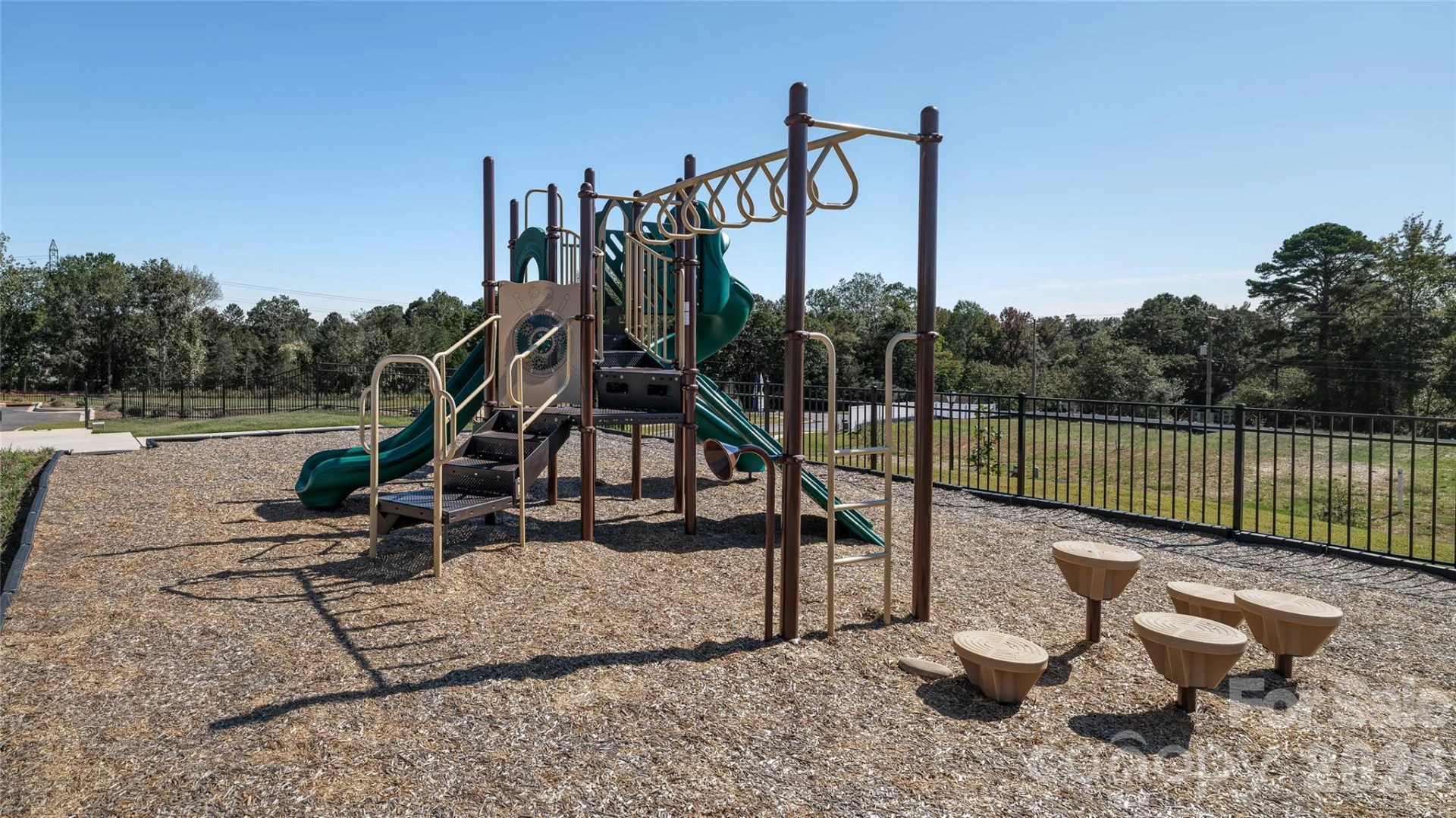 13149 Bristlehead Way - Photo 38