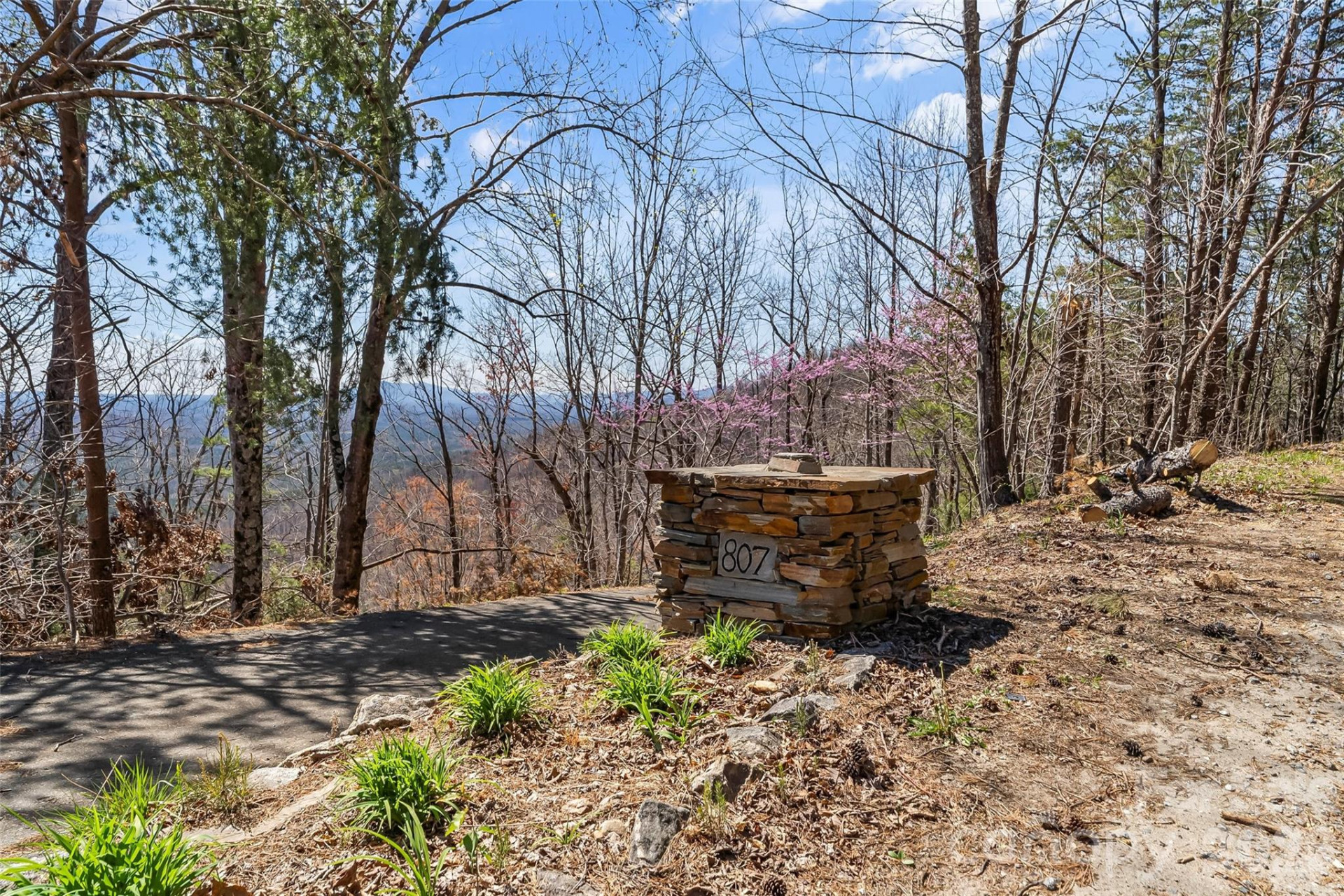 807 Pinnacle Parkway - Photo 38