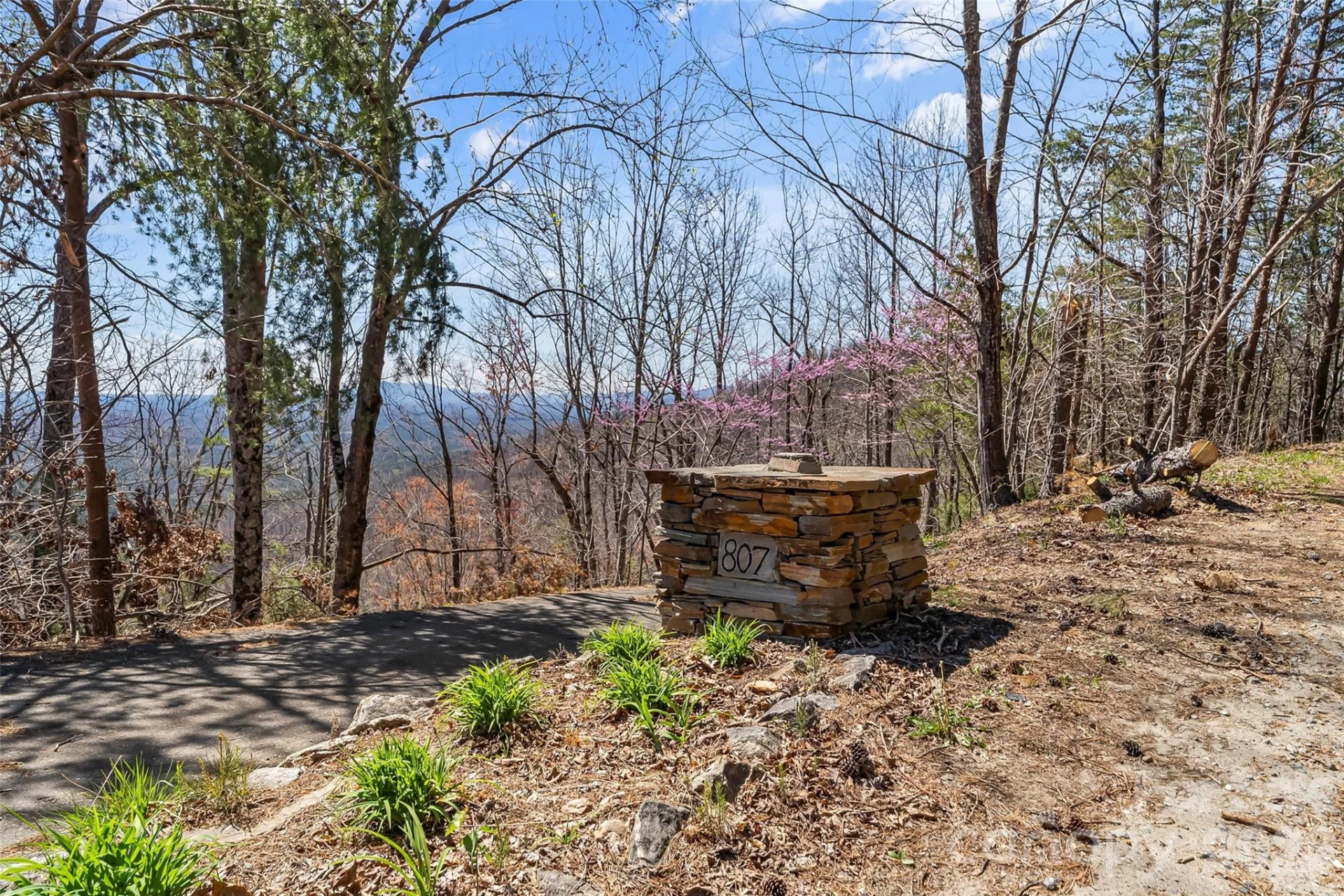 807 Pinnacle Parkway - Photo 38