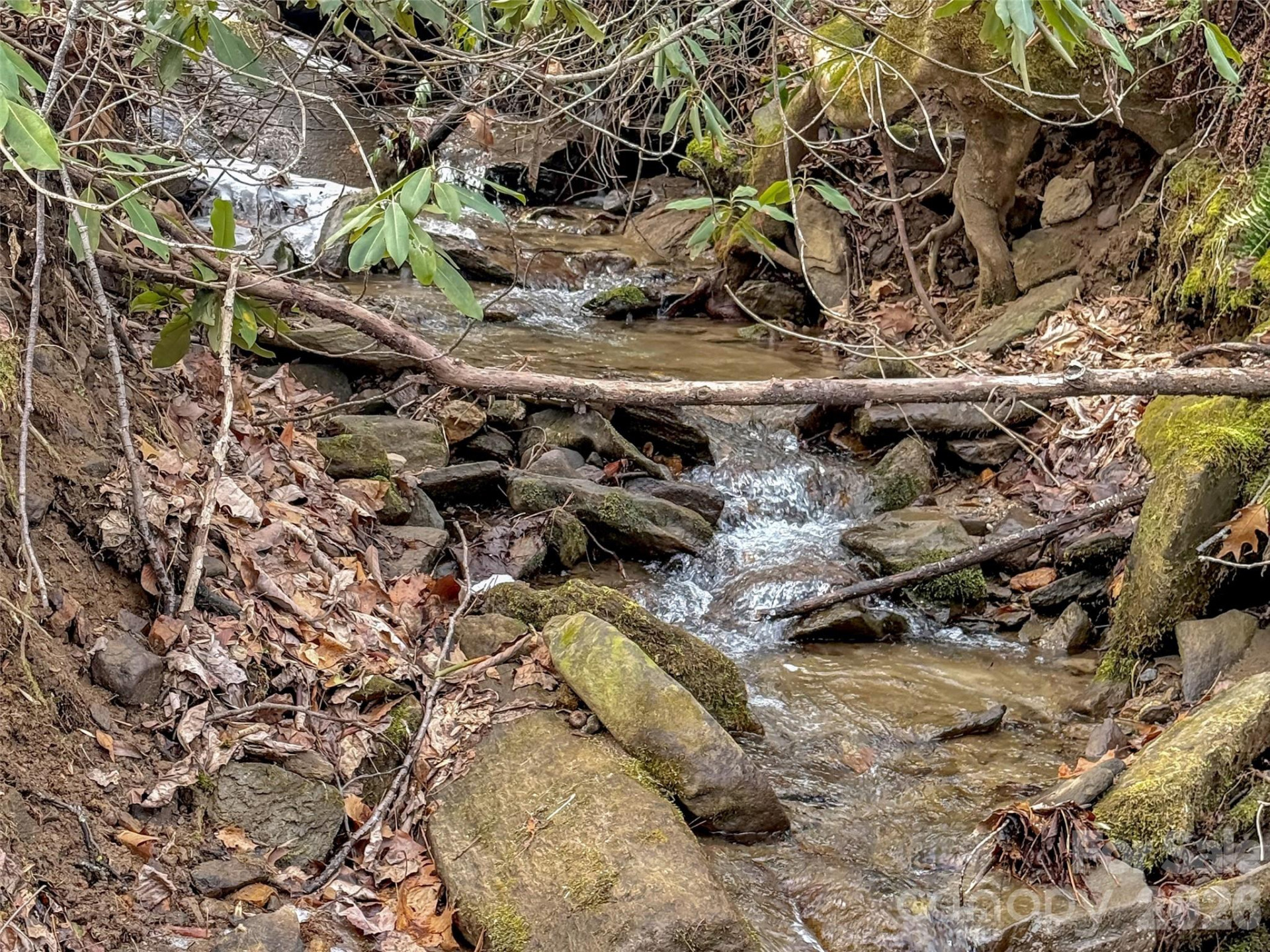 122 Vinewood Drive - Photo 45