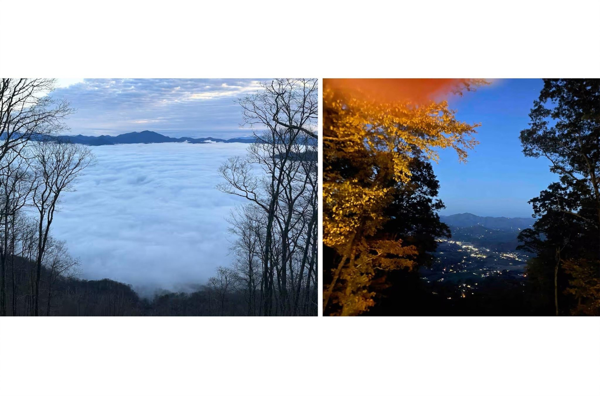 188 Bear Track Trail - Photo 4