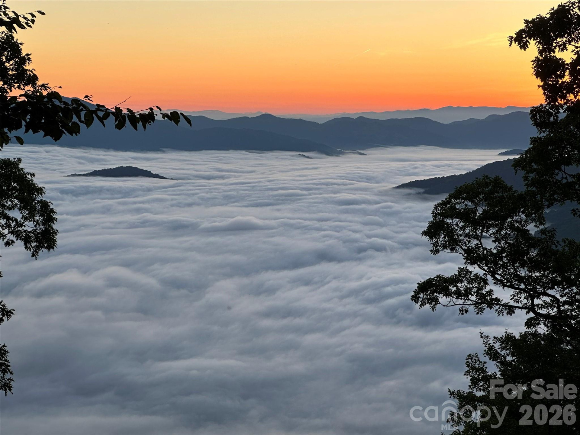 188 Bear Track Trail - Photo 42