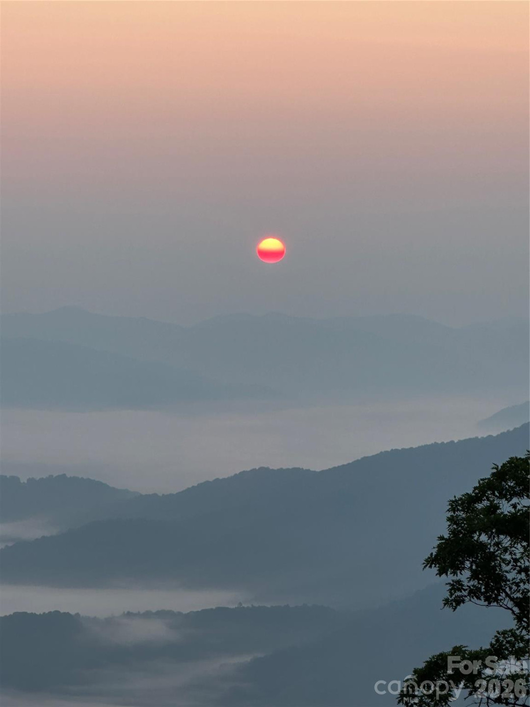 188 Bear Track Trail - Photo 43