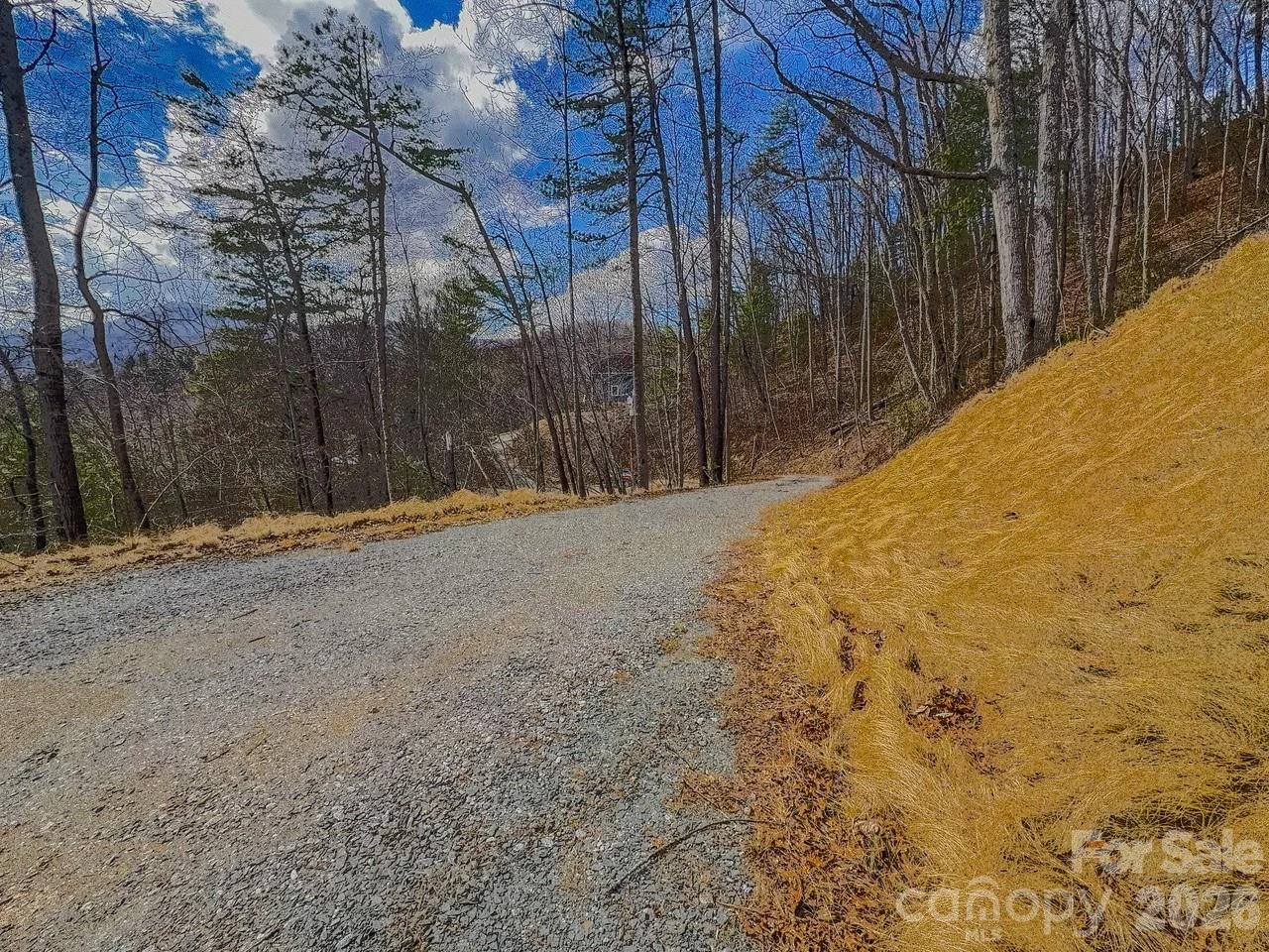 175 Broken Bow Road - Photo 5