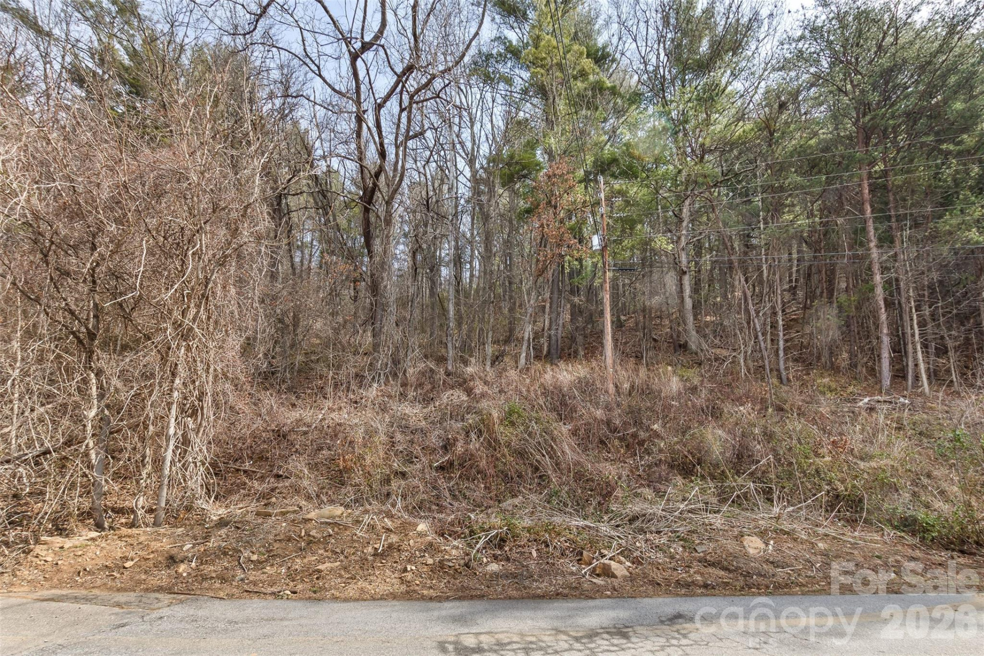 99999 Mountainbrook Road #2 - Photo 5