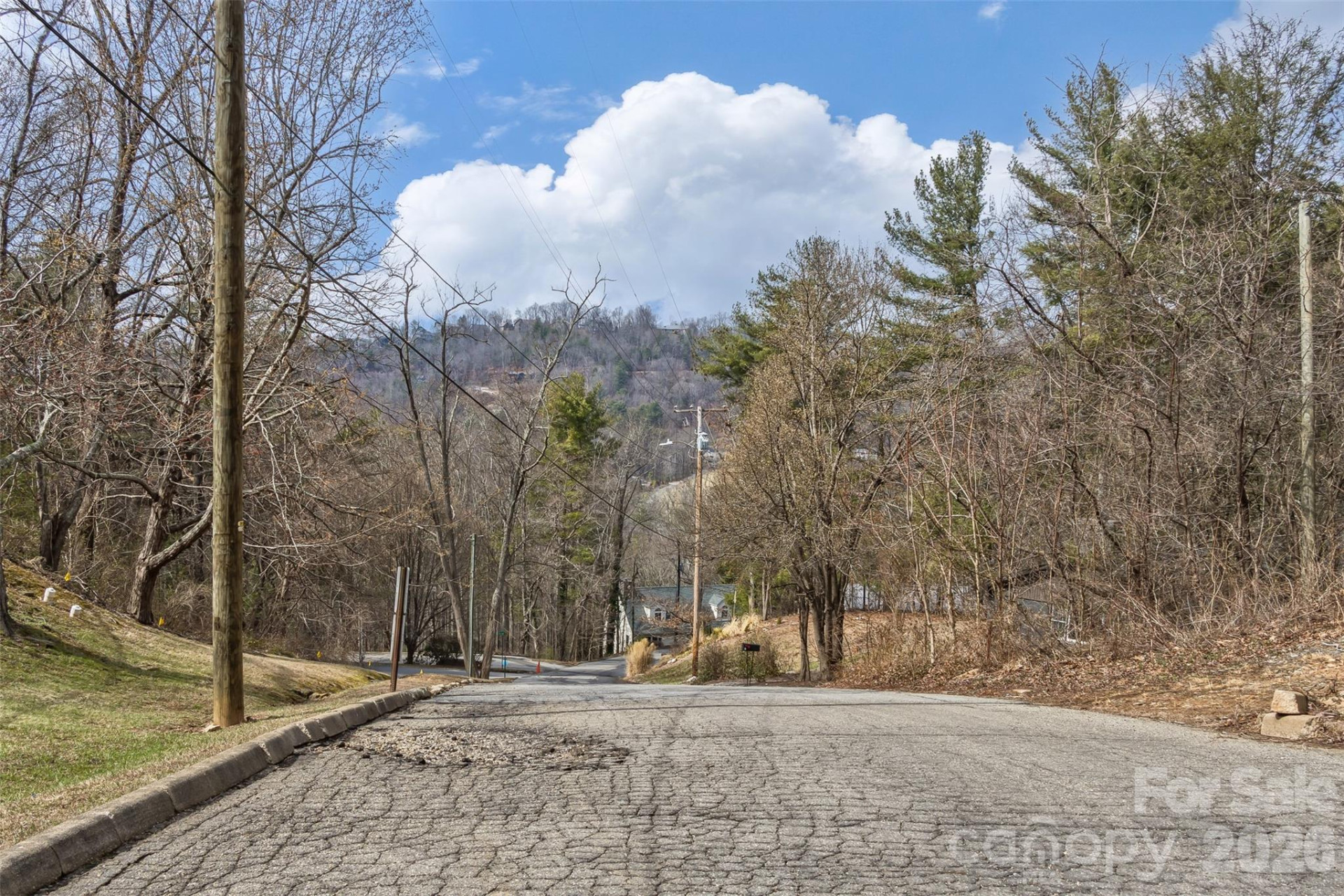 99999 Mountainbrook Road #2 - Photo 6
