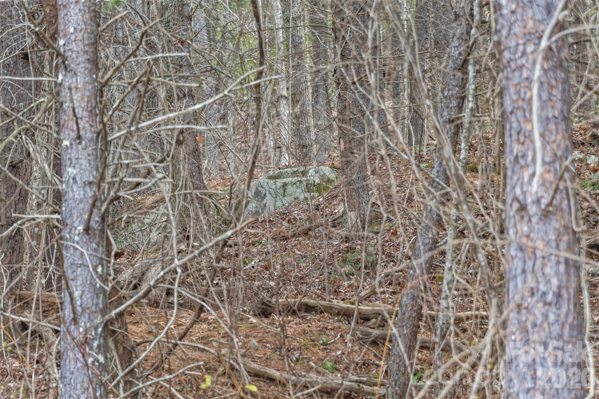 99999 Mountainbrook Road #2 - Photo 8