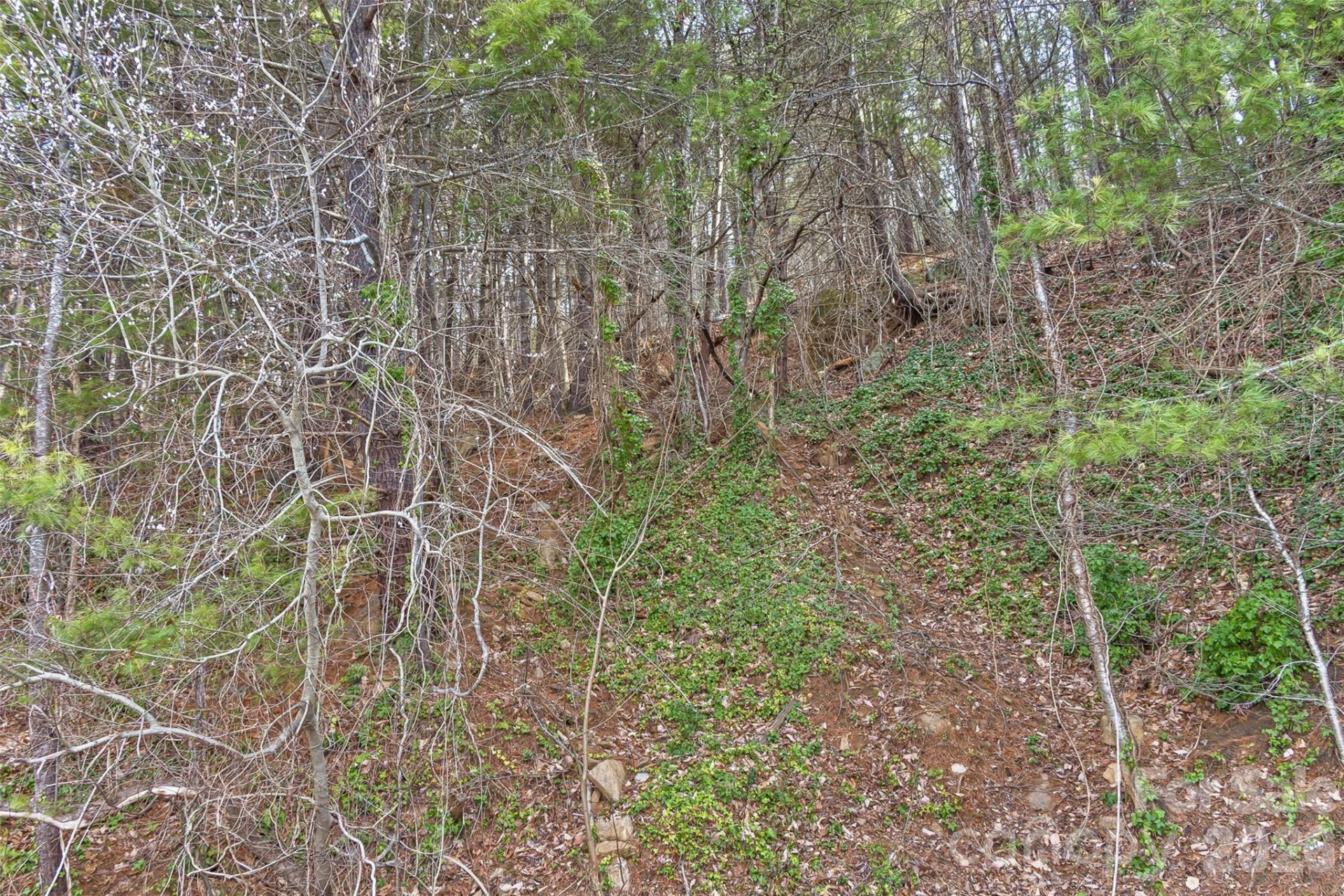 99999 Mountainbrook Road #2 - Photo 9