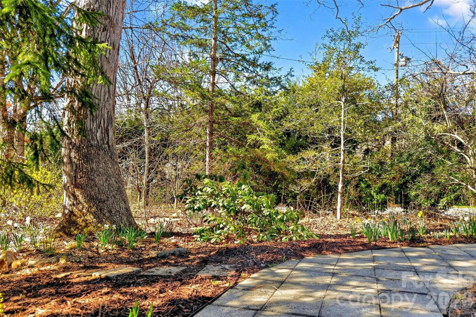 104 Hiawassee Avenue - Photo 30