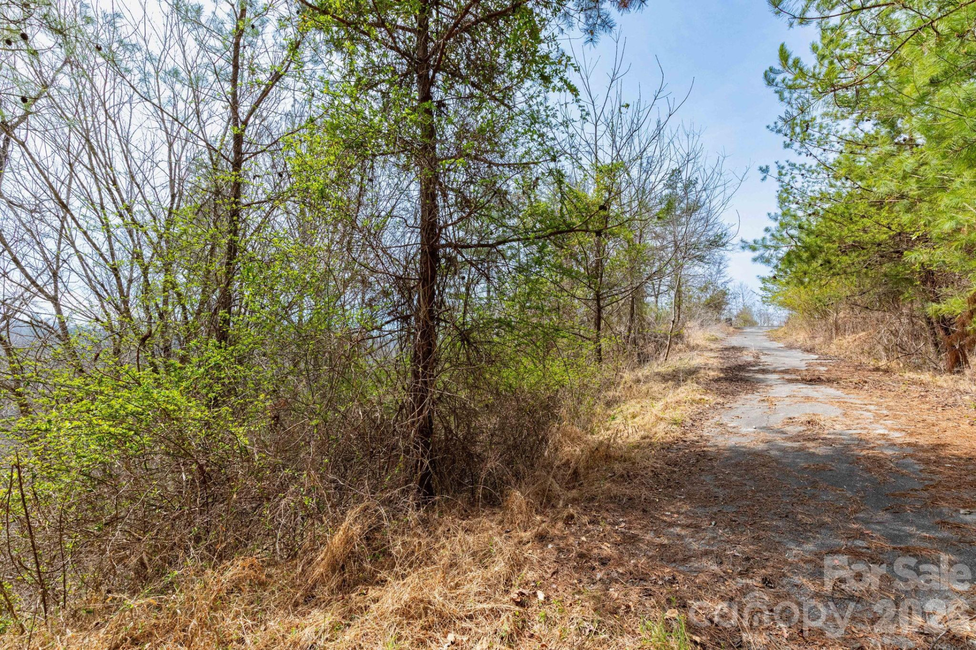 00 Crist View Drive #Lot 12 - Photo 6