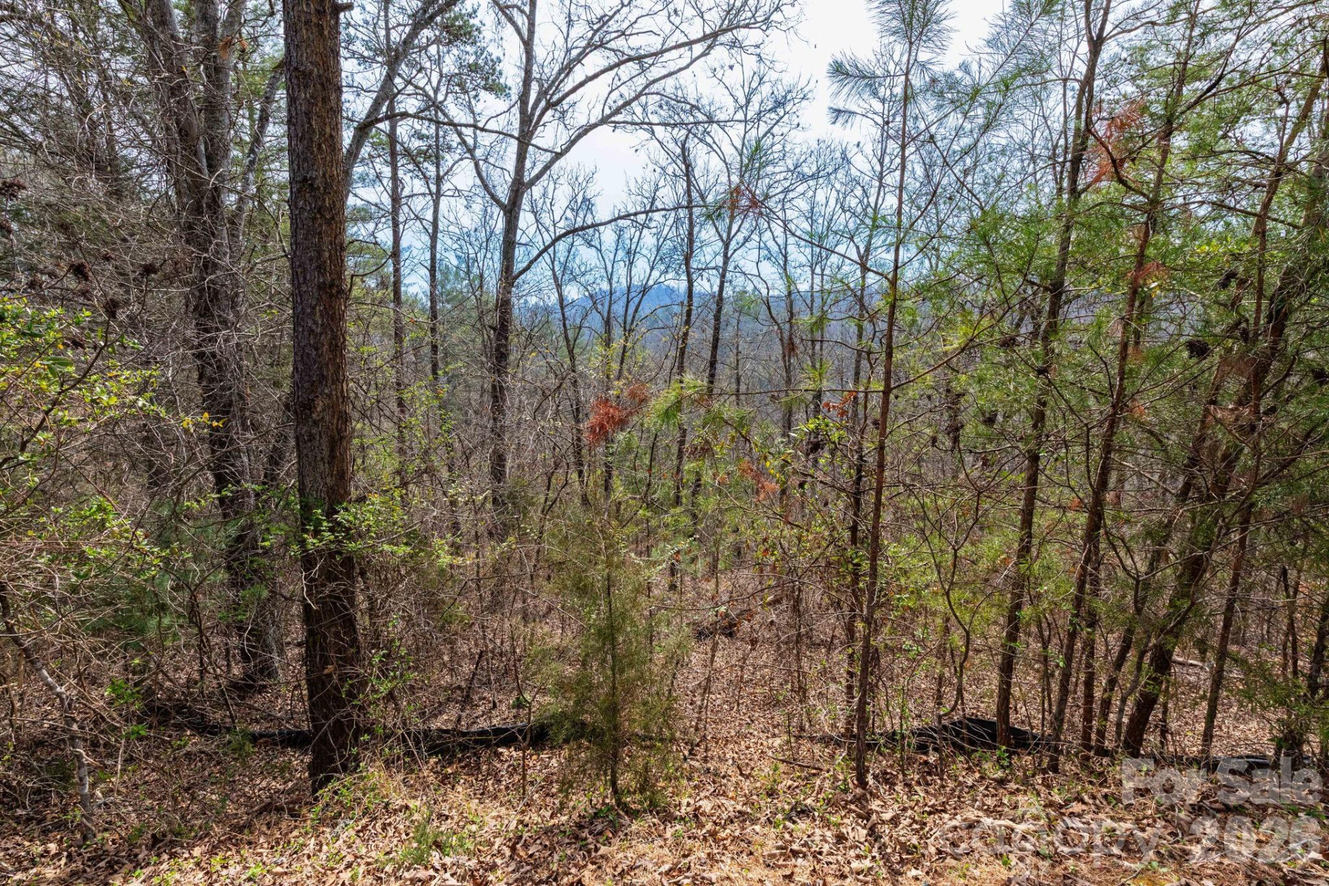 00 Crist View Drive #Lot 12 - Photo 7