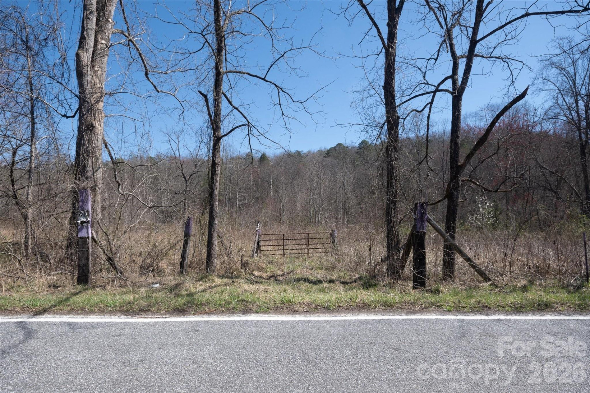 1739 Polly Spout Road - Photo 11